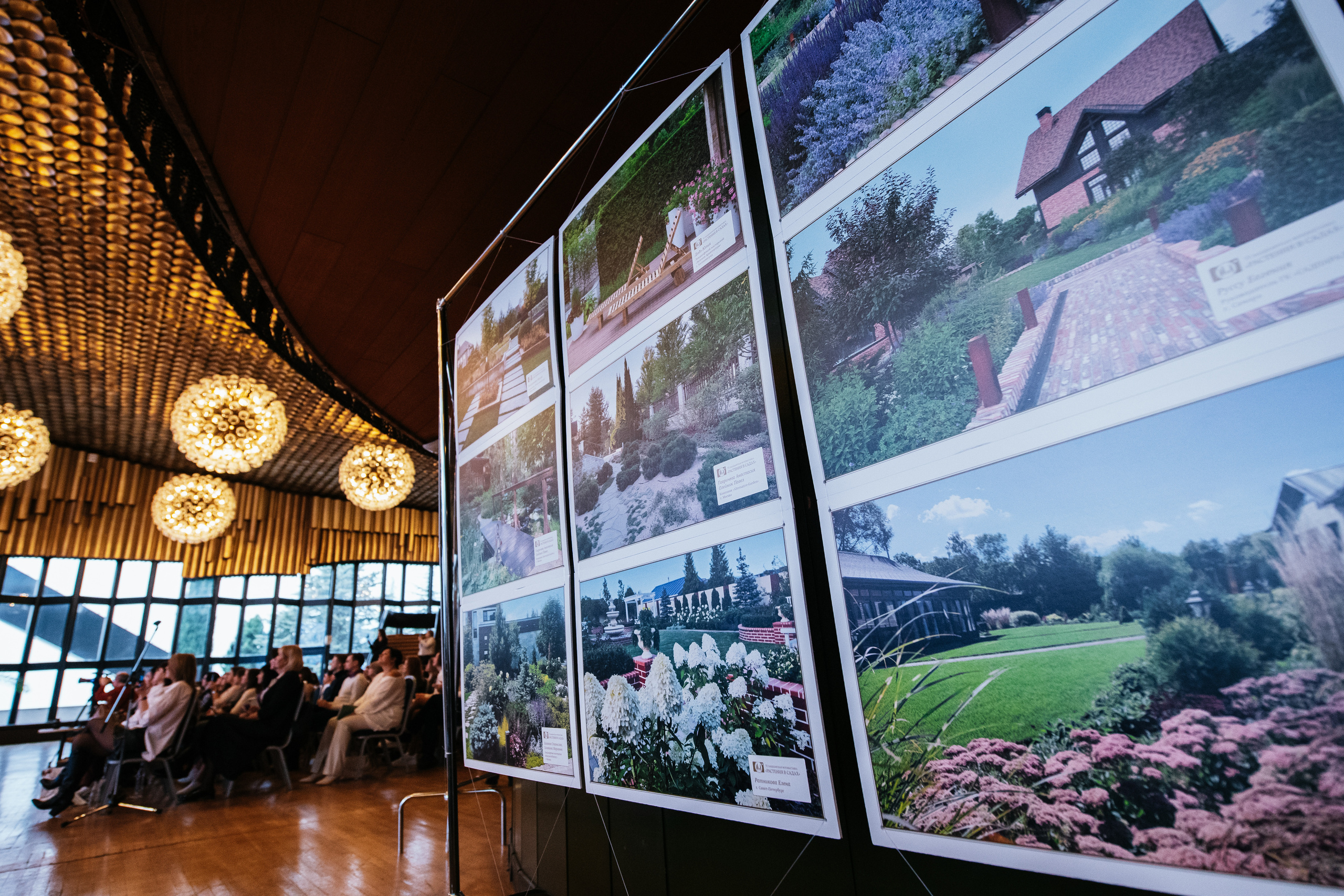 Форумы и конференции. Живые снимки! Фотограф Даша Бендер