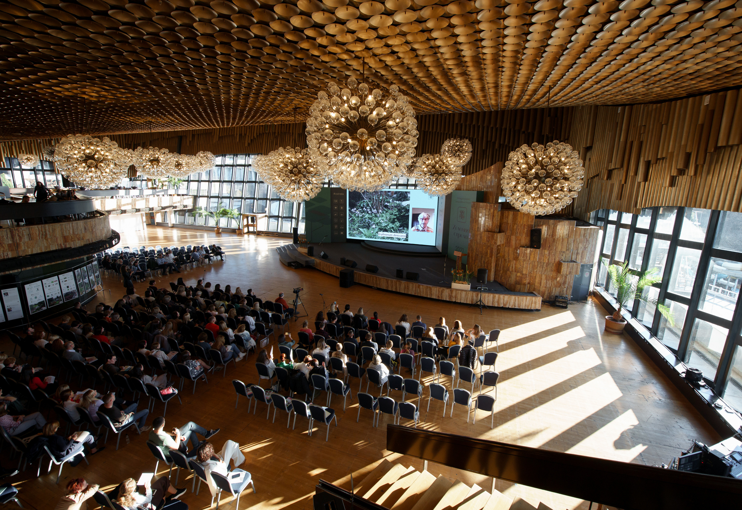 Форумы и конференции. Живые снимки! Фотограф Даша Бендер