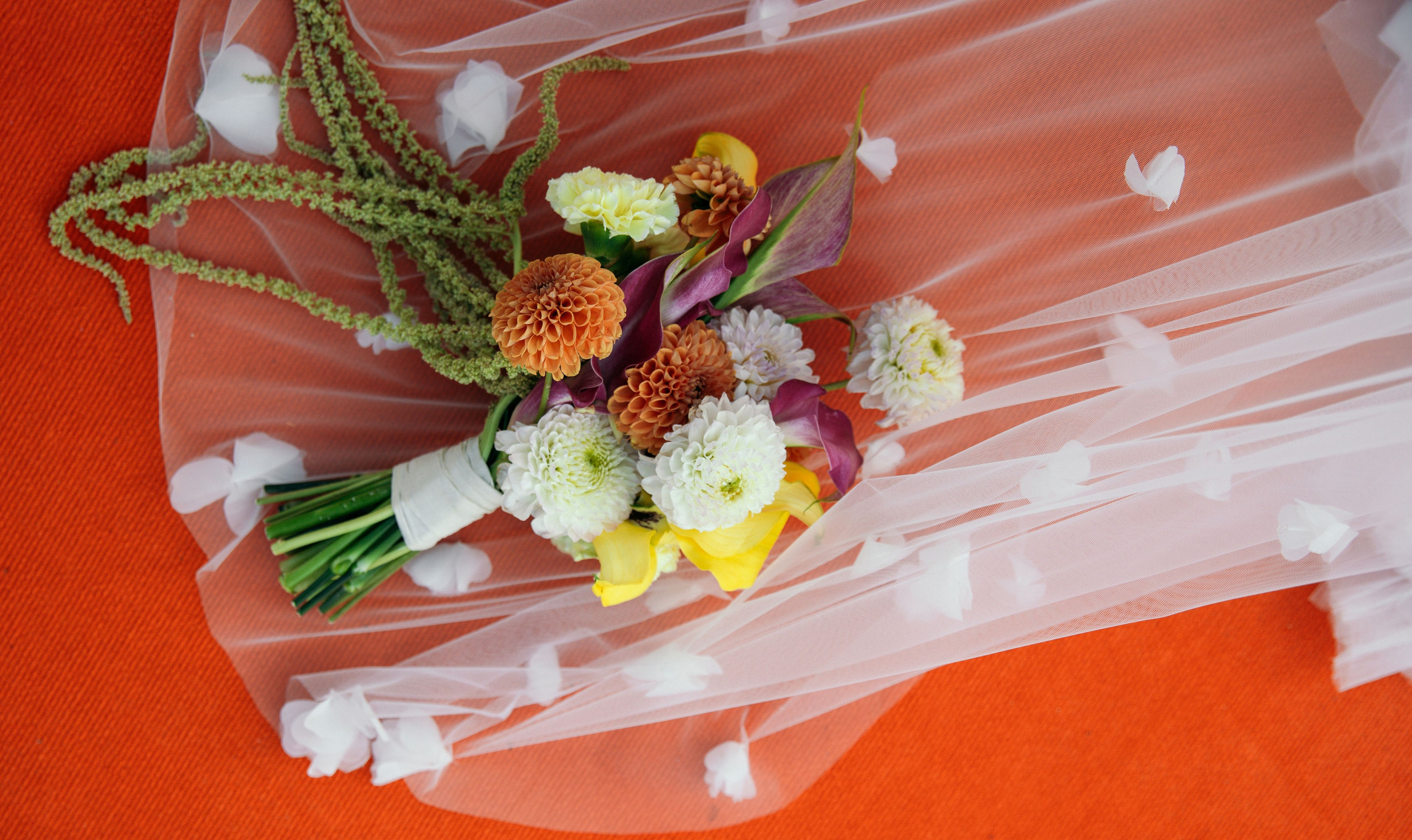 Анонс свадьба в Сочи Александр и Екатерина. Свадебный и семейный фотограф в Севастополе и Крыму Анастасия Сураева