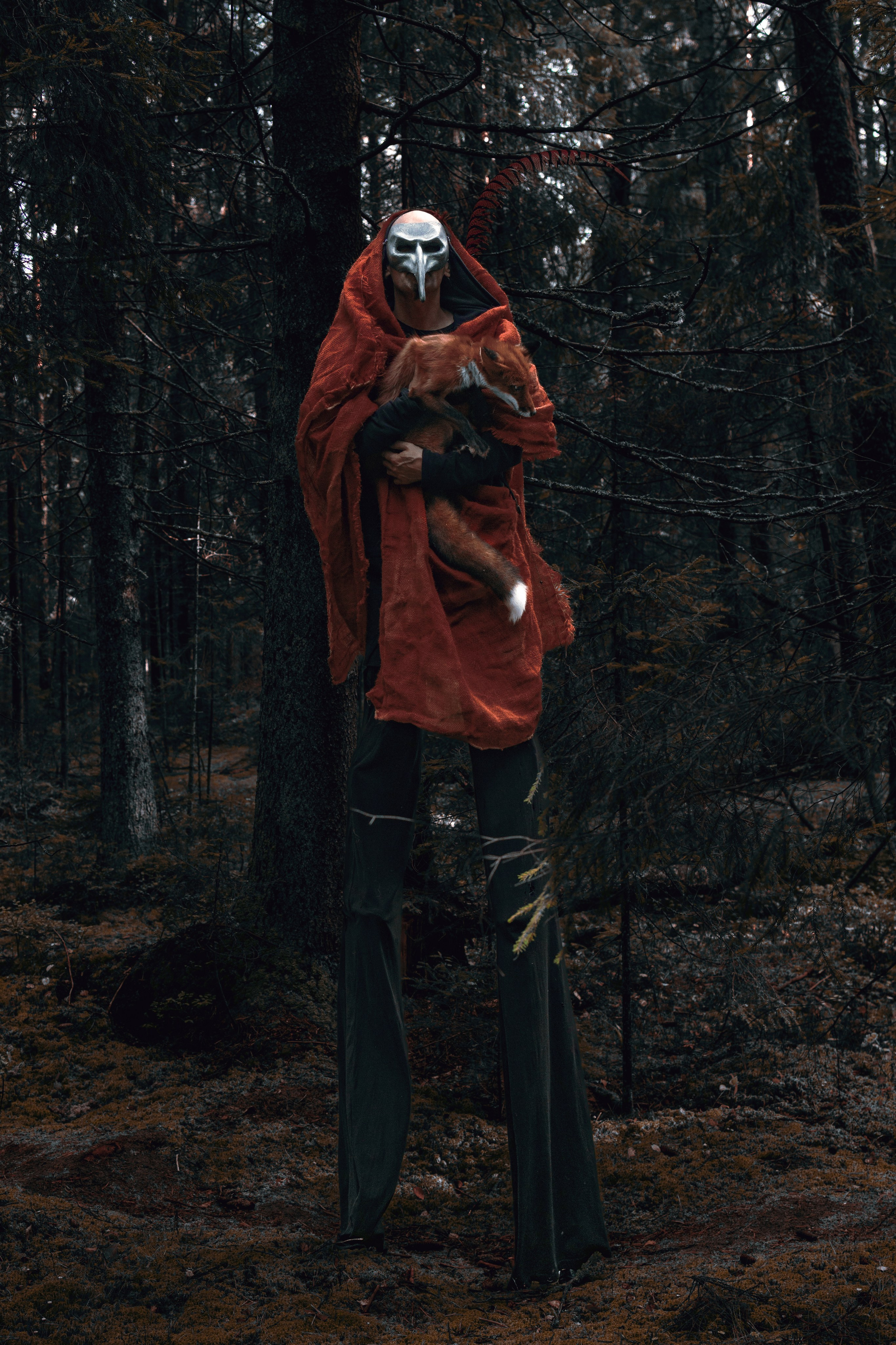 Огненная Лисица