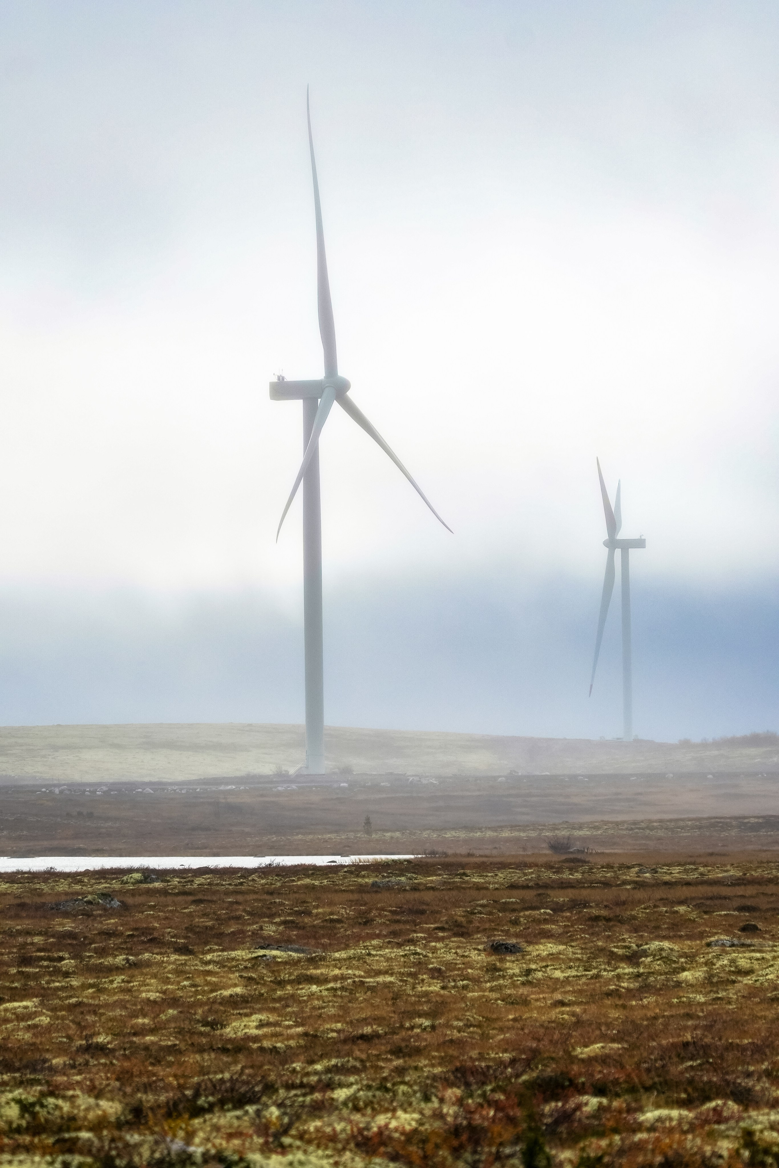 СЕВЕР. Event фотограф Степанова Александра