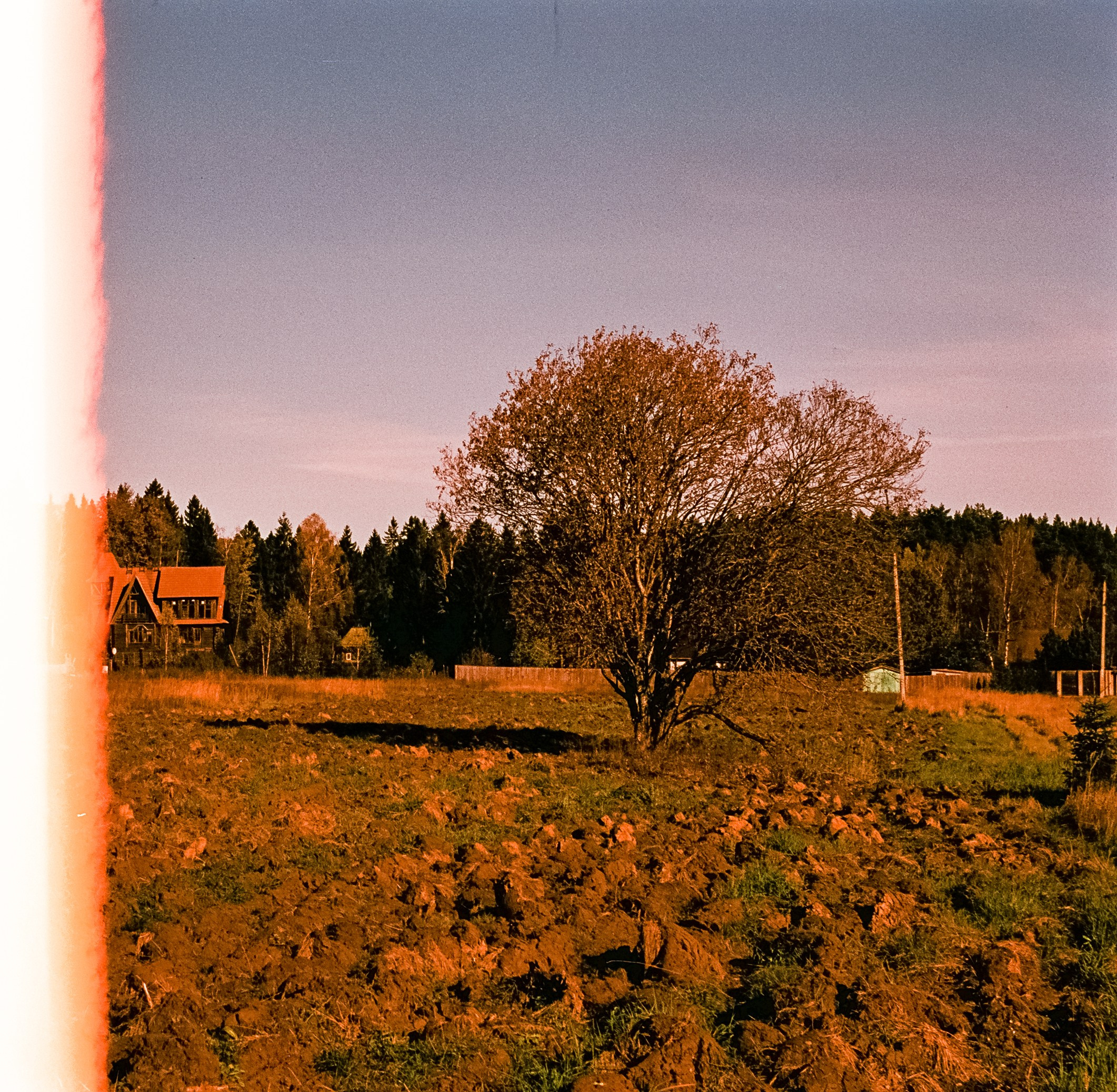 Nikon F100 — Mamiya (645) Sekor C 45 mm f2.8 и Macro 80 mm f/4