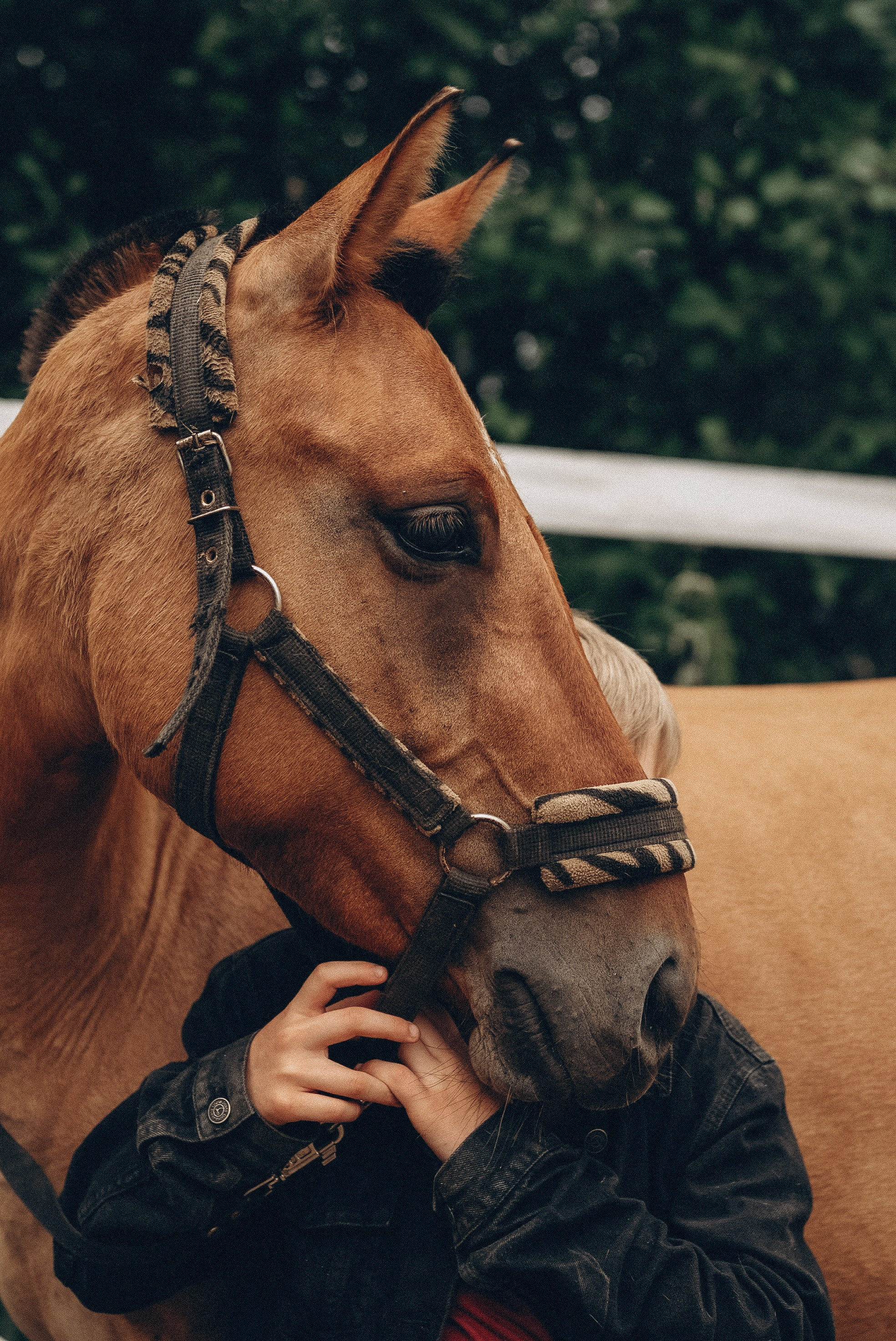 Иваново детство. Семейный свадебный фотограф Екатеринбург Первоуральск Шарнина Алёна