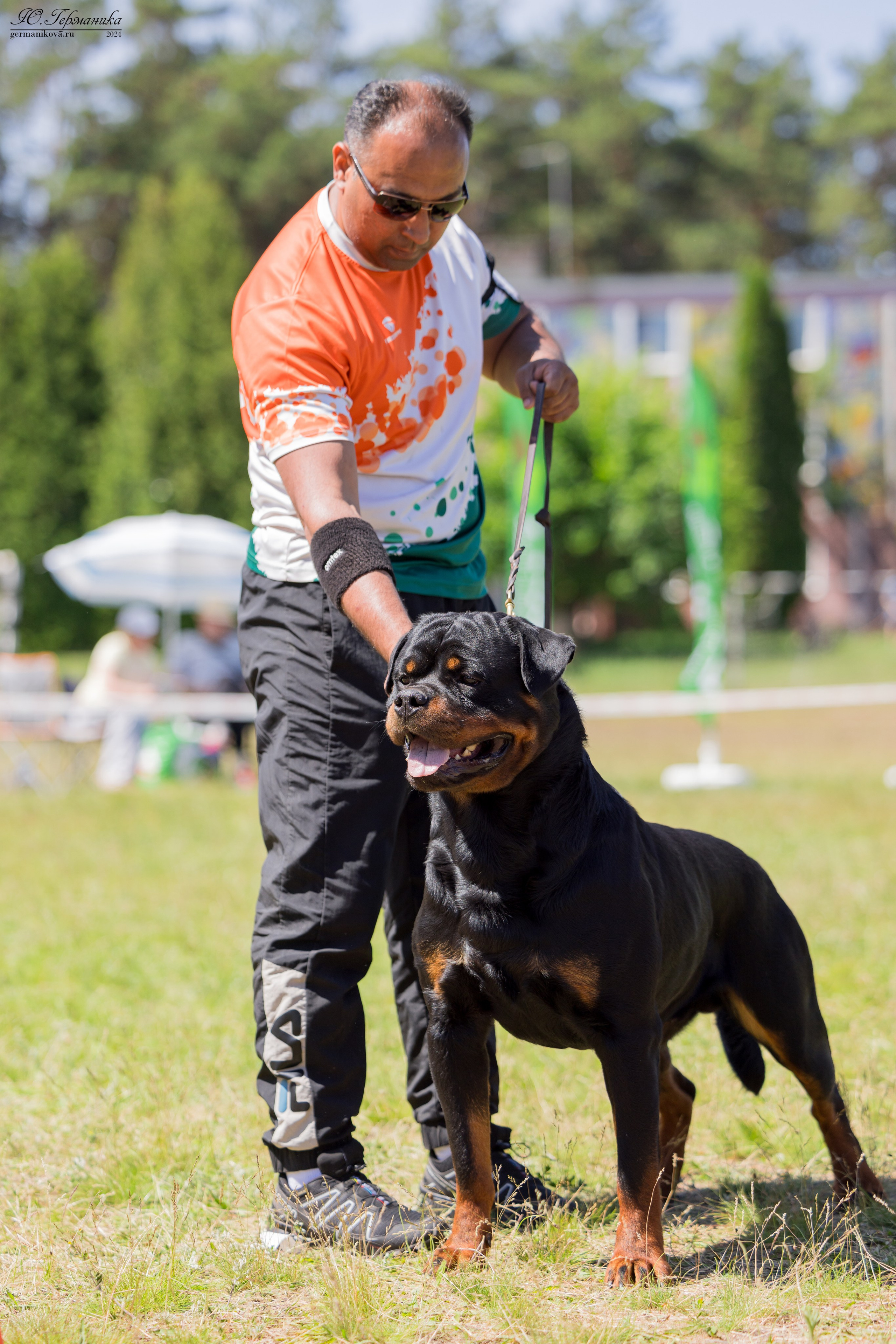 Воронеж моно ротвейлеров 25-26.05.2024. Фотограф-анималист Юлия Германика