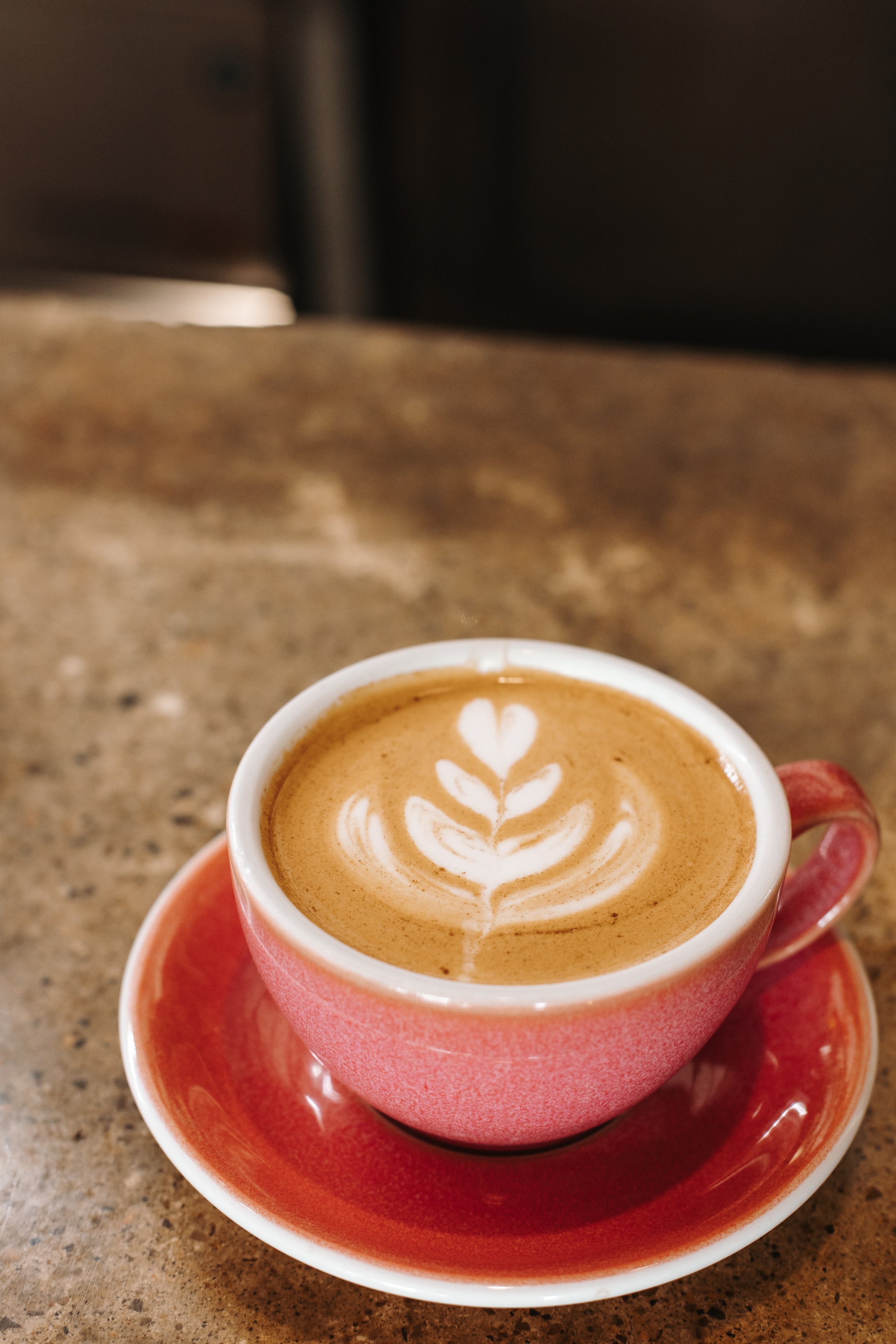 Bary Coffee. Фотограф на Юге России