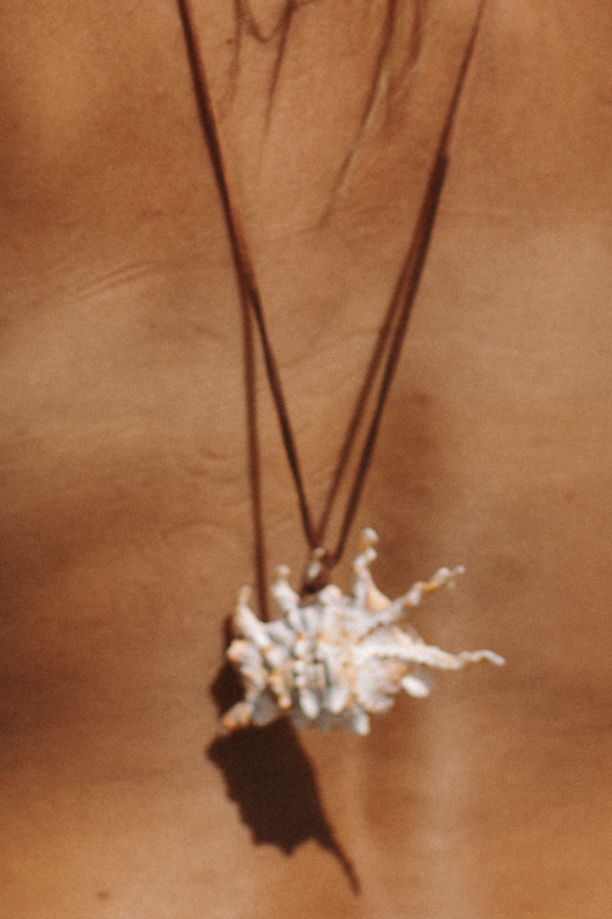 Crimea. Фотограф на Юге России