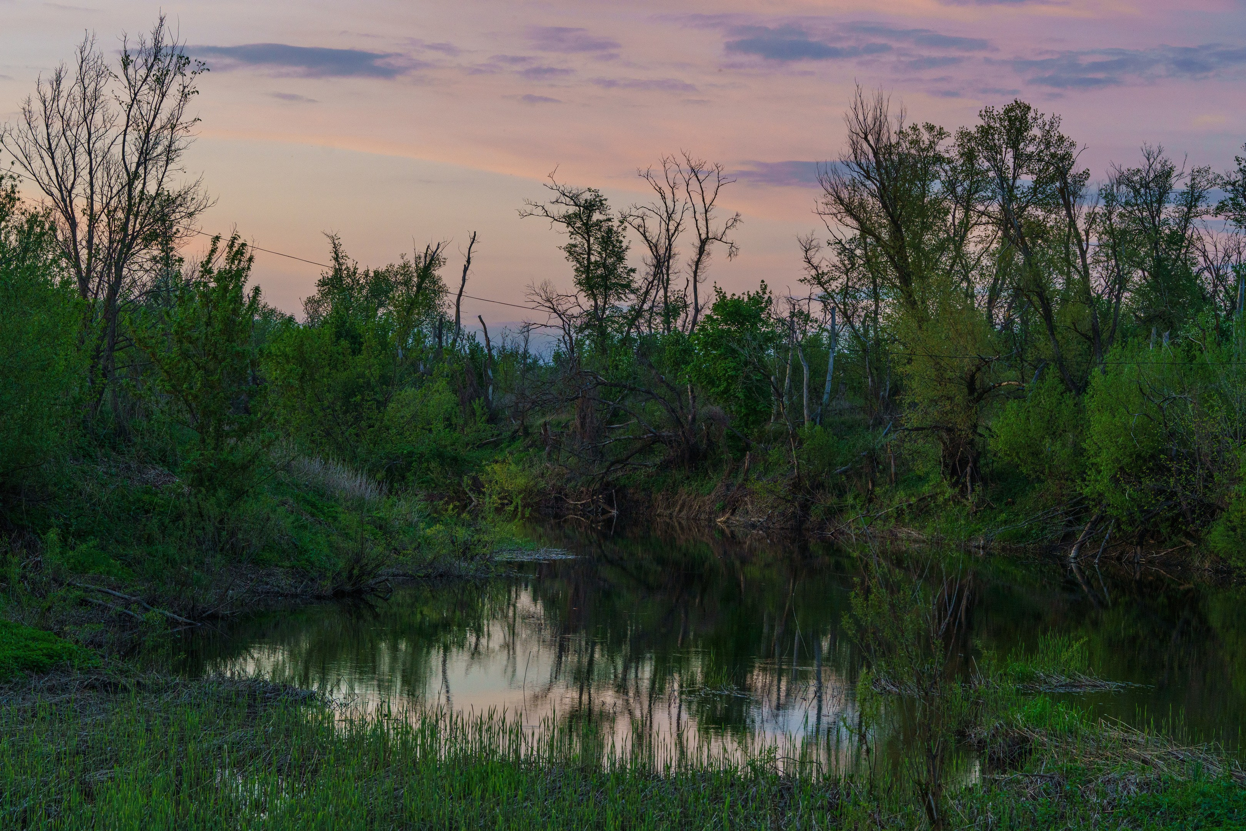 Саратовская область