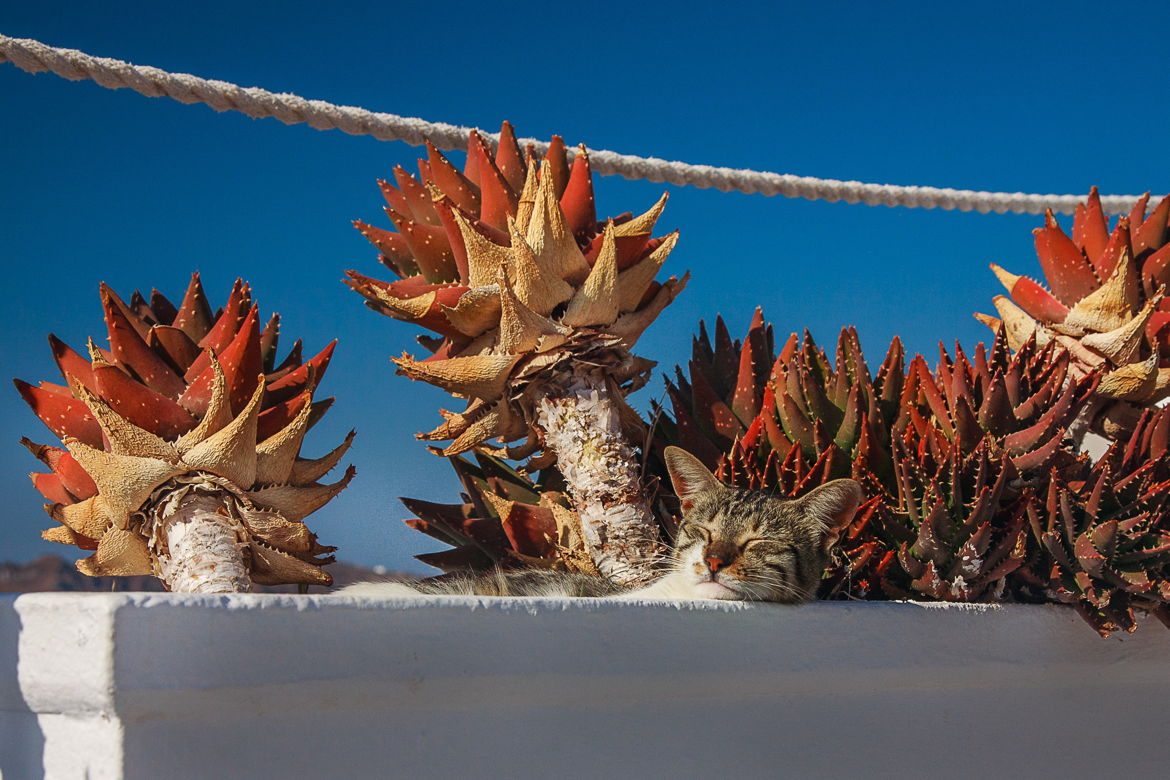 Путешествия. Фотограф Бызов Павел