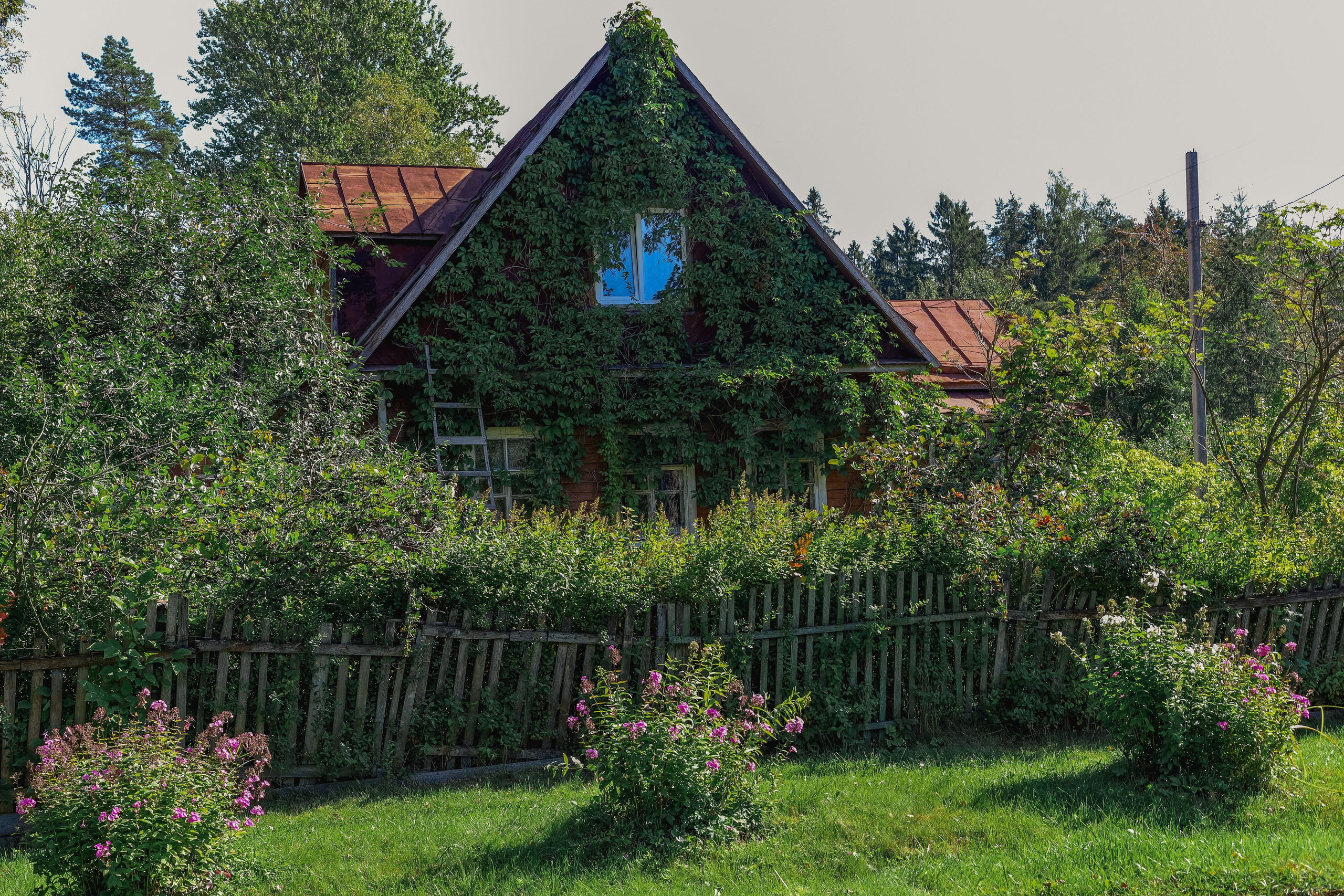 Природа &. Фотохудожник в СПб