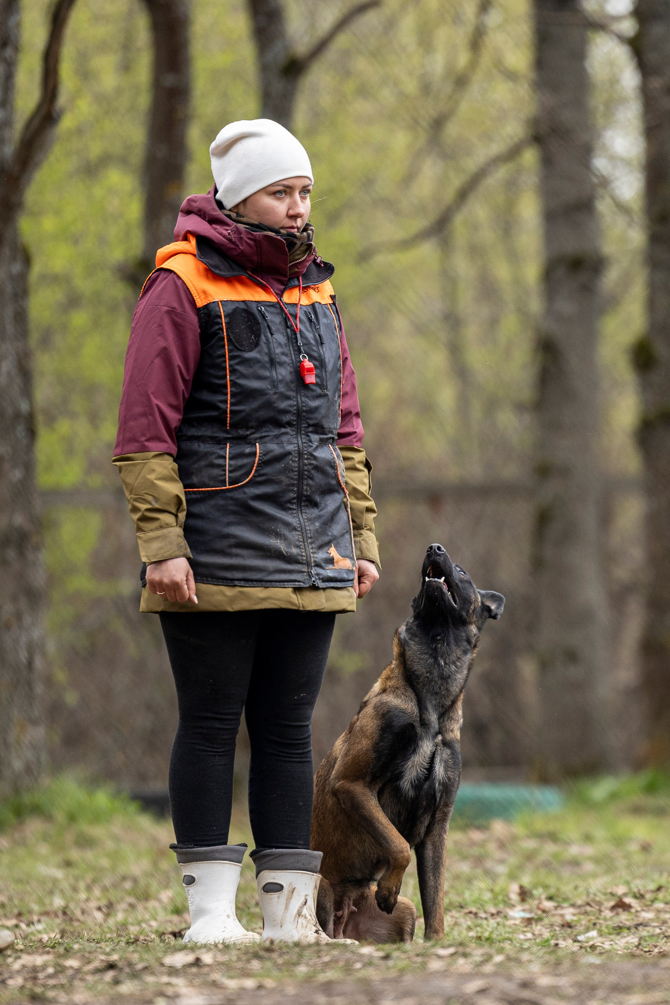 Квалификационные состязания по мондьорингу г. Вологда 11.05.24. Фотограф-анималист Анна Маринич