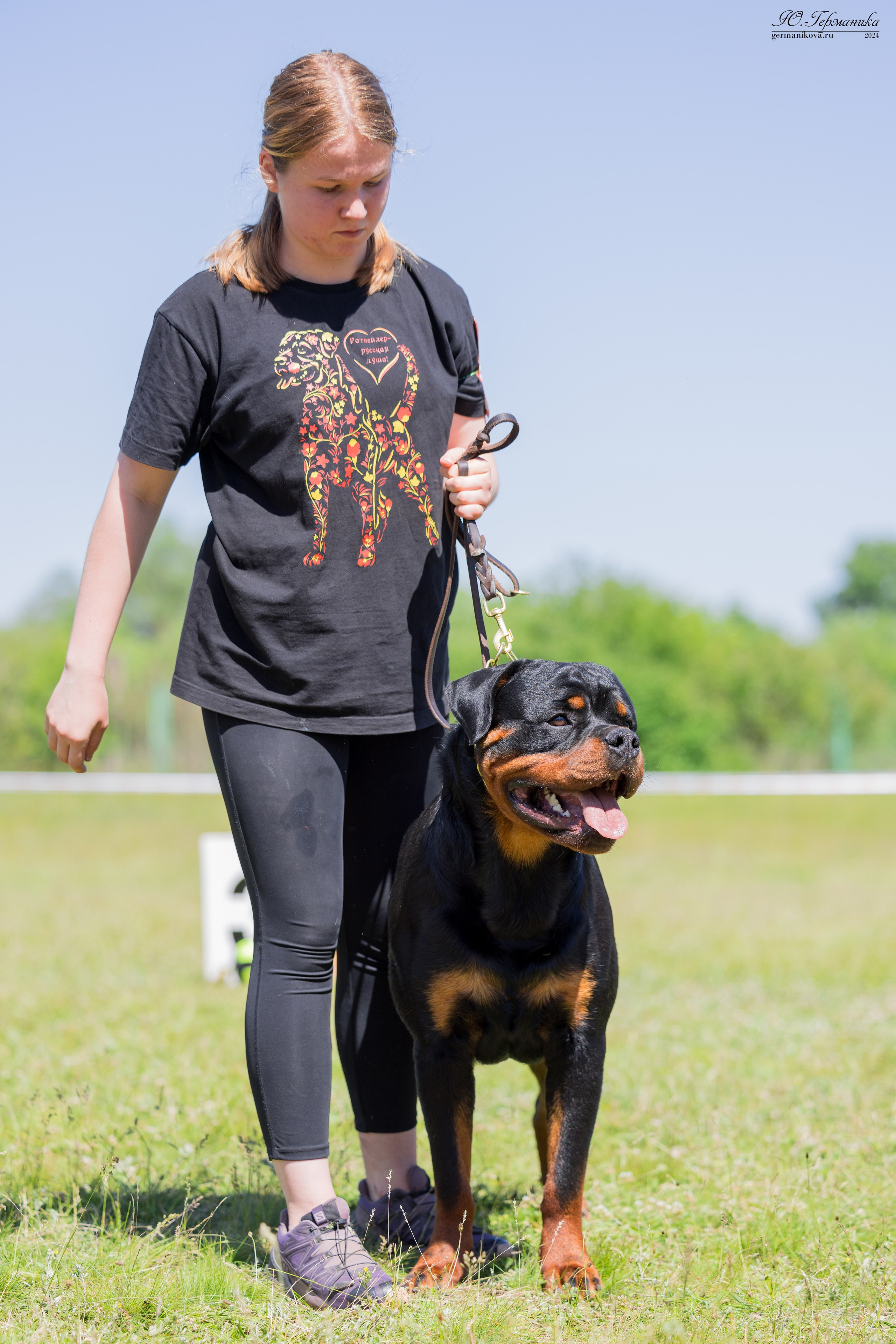 Воронеж моно ротвейлеров 25-26.05.2024. Фотограф-анималист Юлия Германика