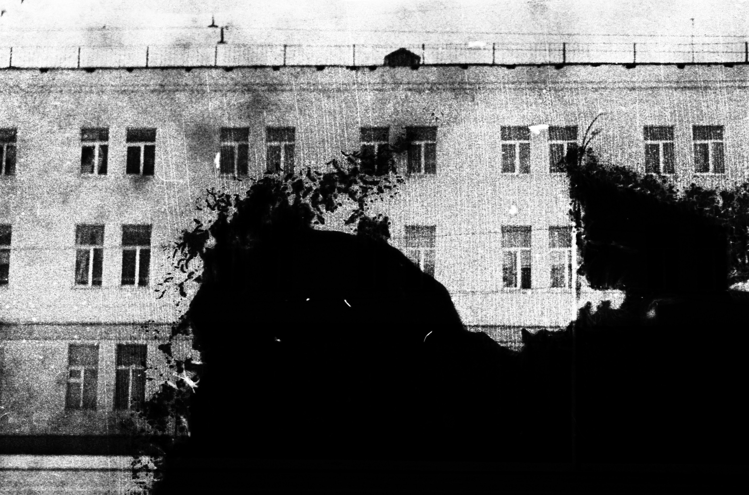 Чёрно-белая фотография городского здания с текстурой органического повреждения, следами плесени и разрушения негатива.