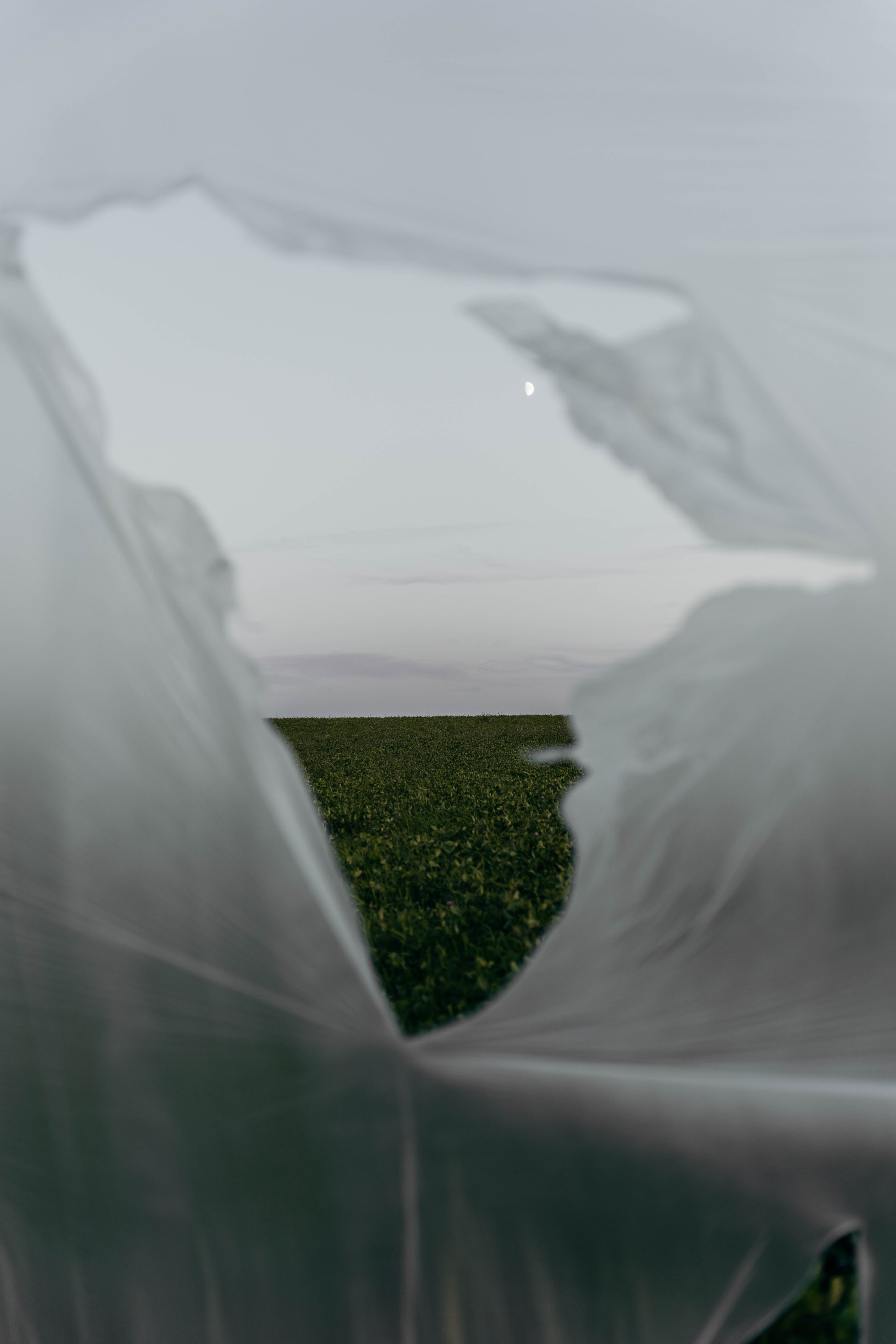 Творчество. Семейный и портретный фотограф во Владимире и Суздале