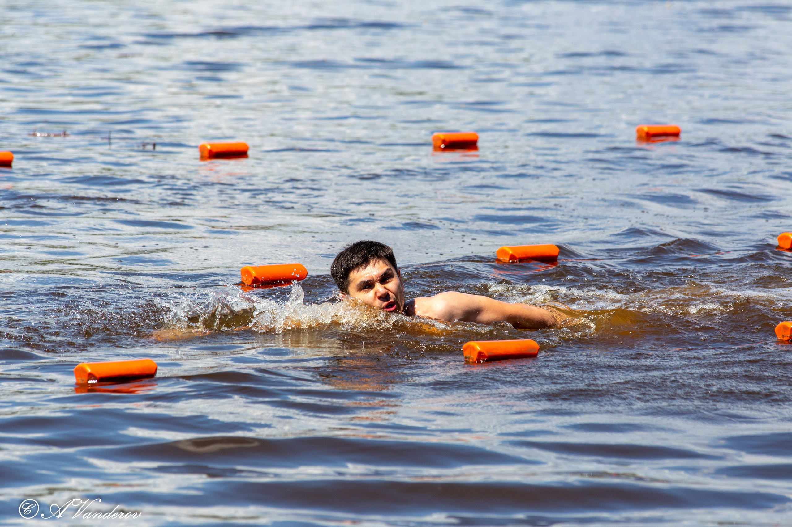 Заплыв 02.06.2024. Фотограф Омск | Александр Вандеров