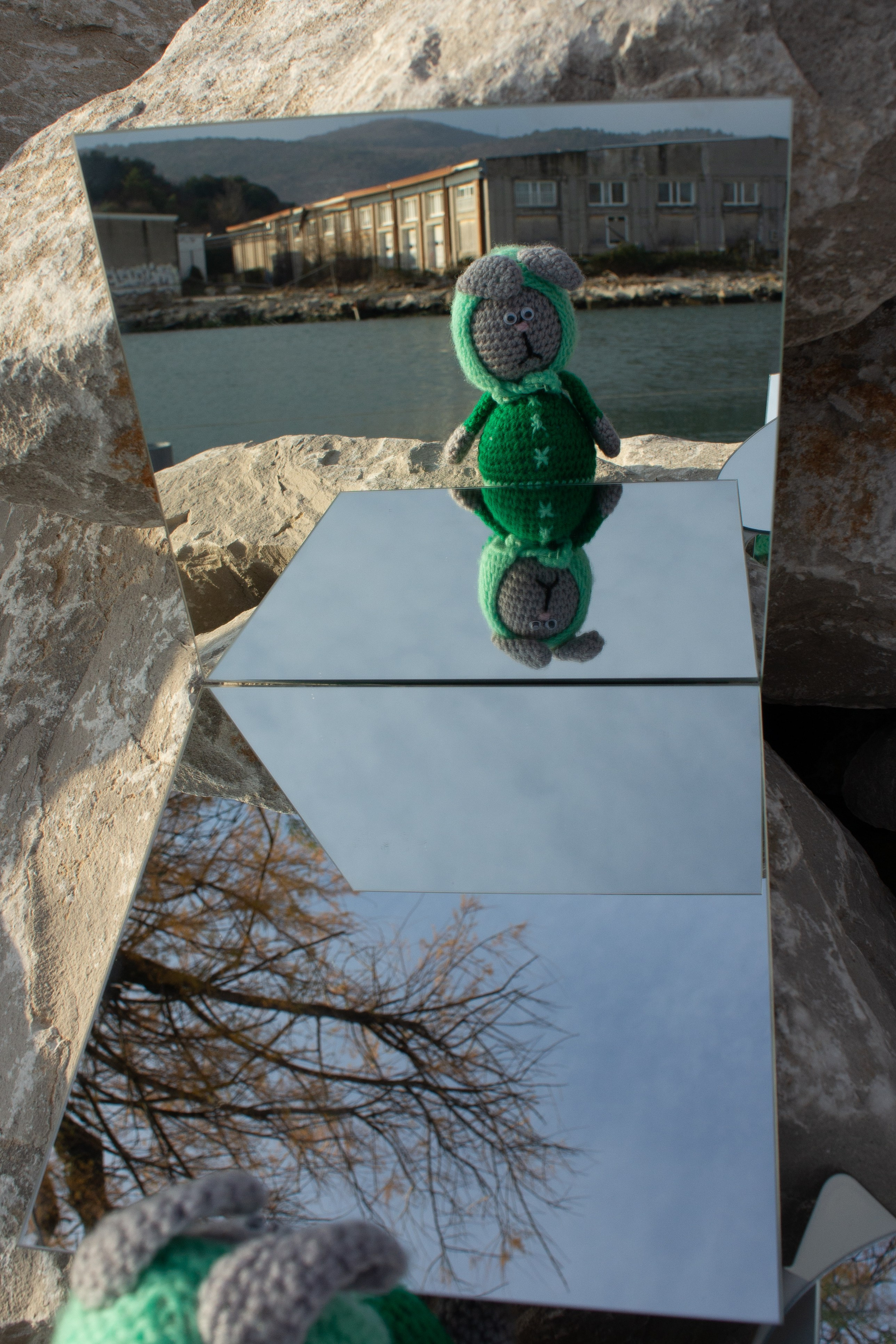 Mio leprotto. Fotografo Alina Imanbaeva Trieste e FVG