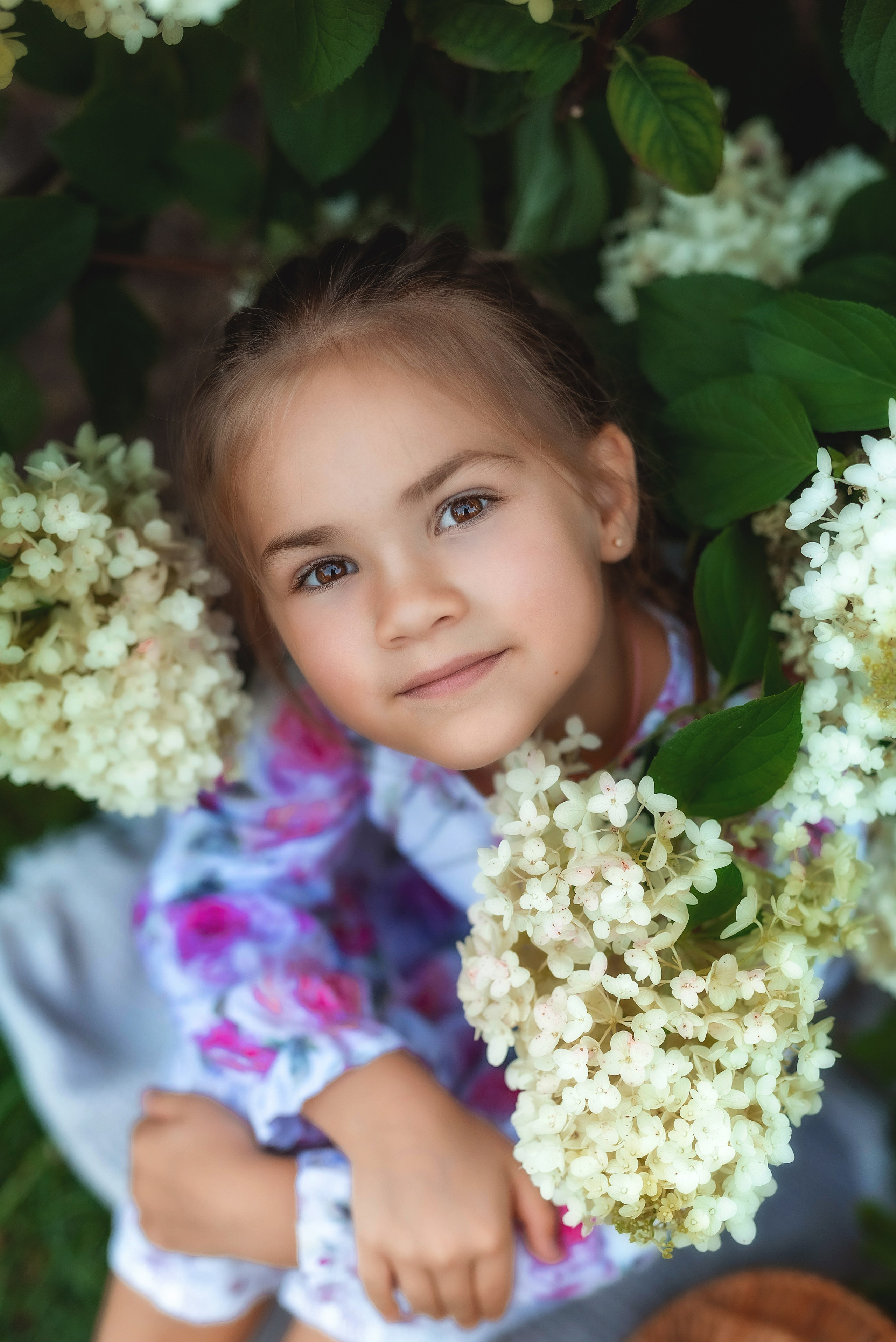Фотосессия в гортензиях. Семейный, детский фотограф в Воронеже Анна Никитина