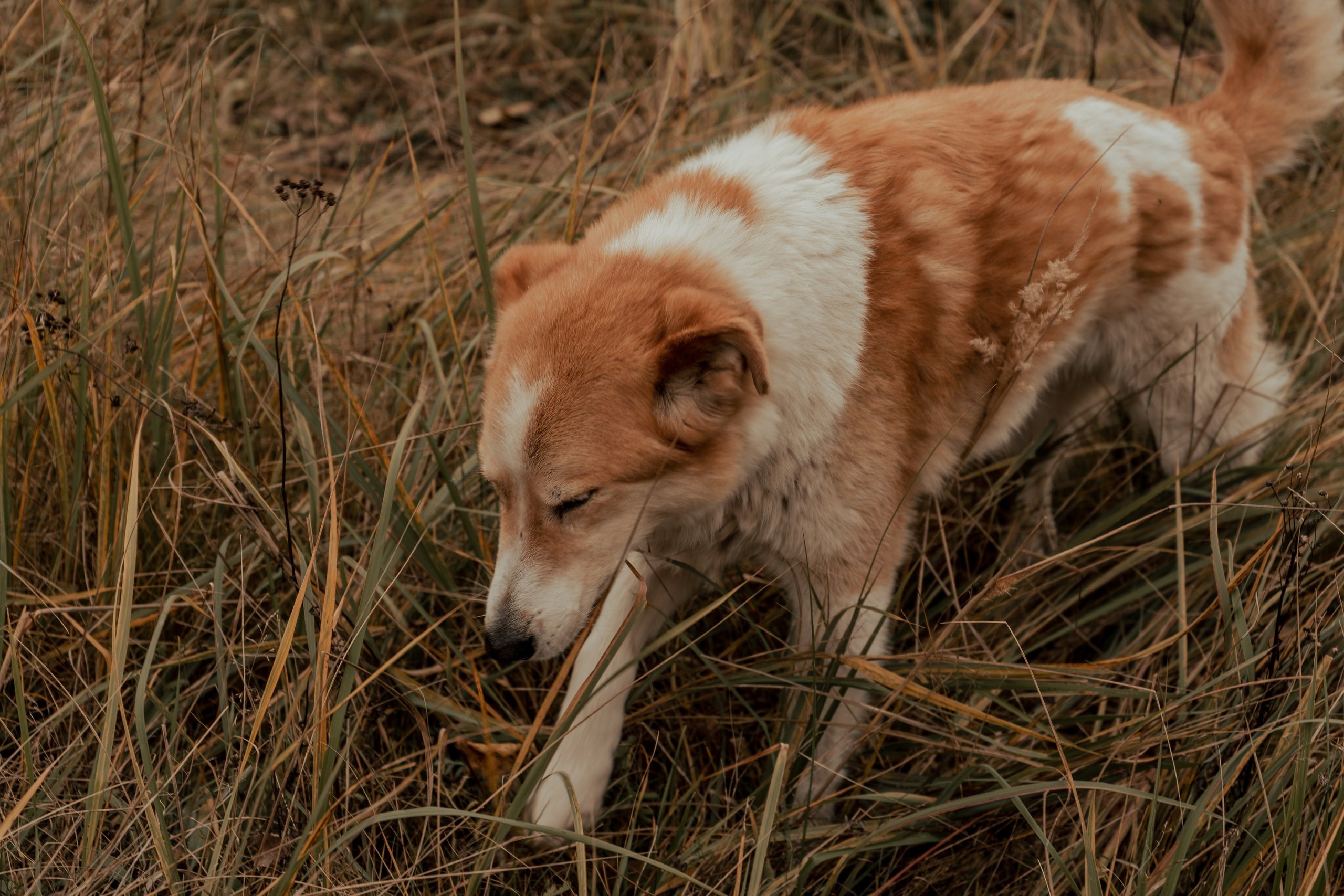 «Острые Козырьки». Портретный фотограф Нижний Новгород