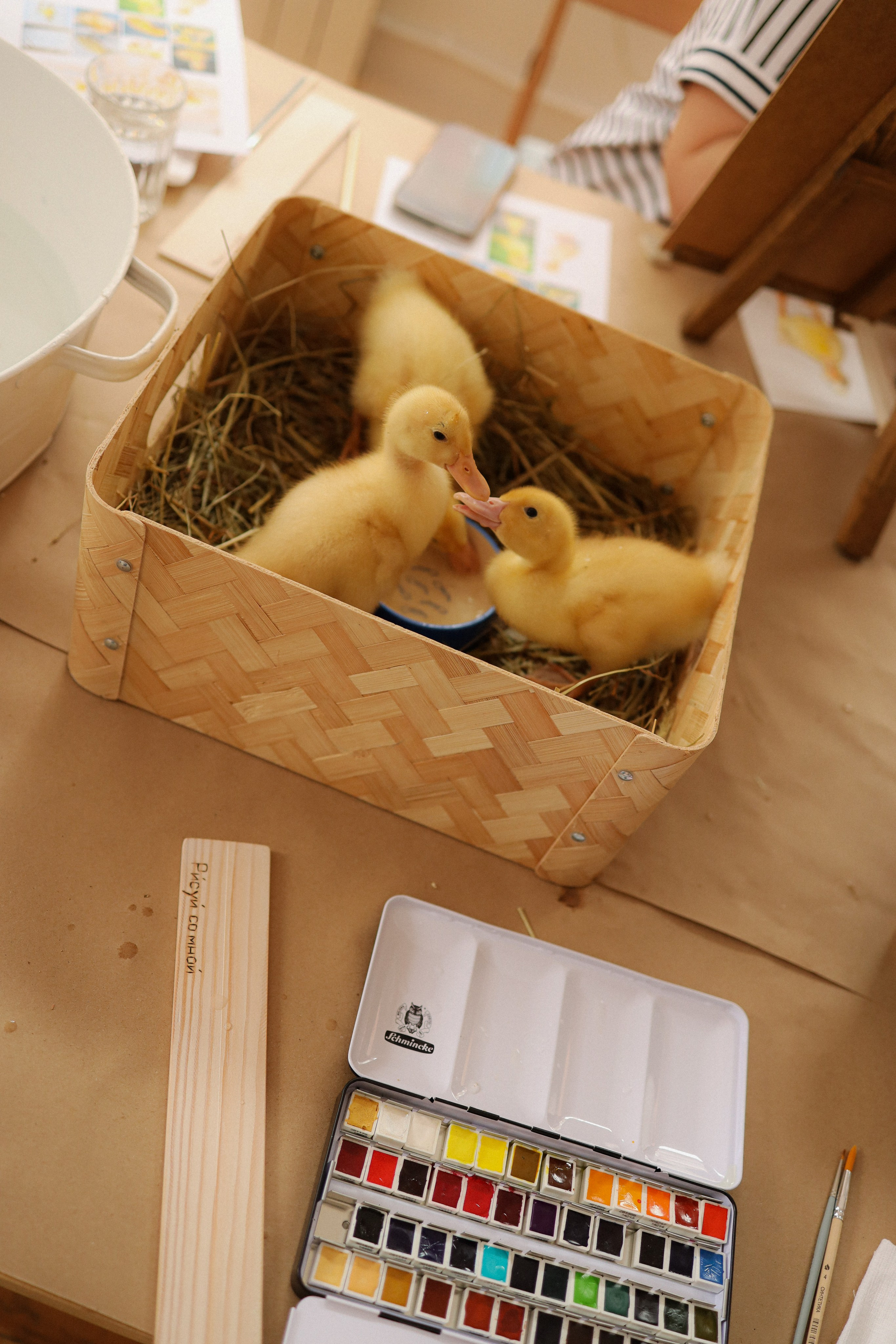 Мк Акварель (рисуем с натуры). Анастасия Ракчеева Художник