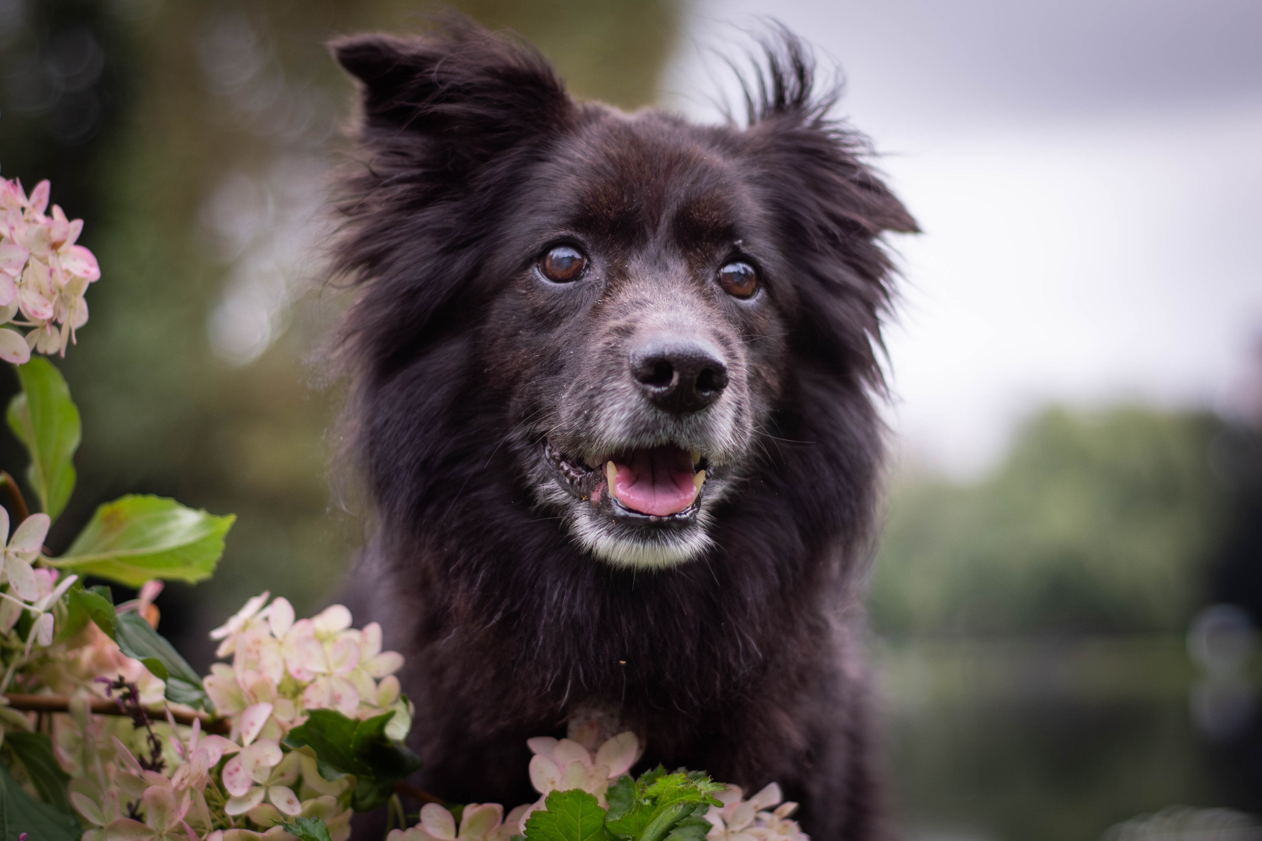 Альба и Даша. Фотограф Светлана Блинова, Москва и Московская область