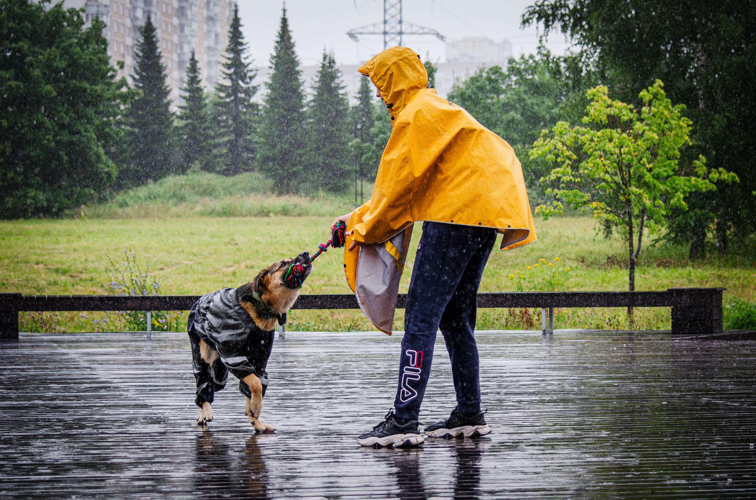 Арья и Оззи. Фотограф Светлана Блинова, Москва и Московская область