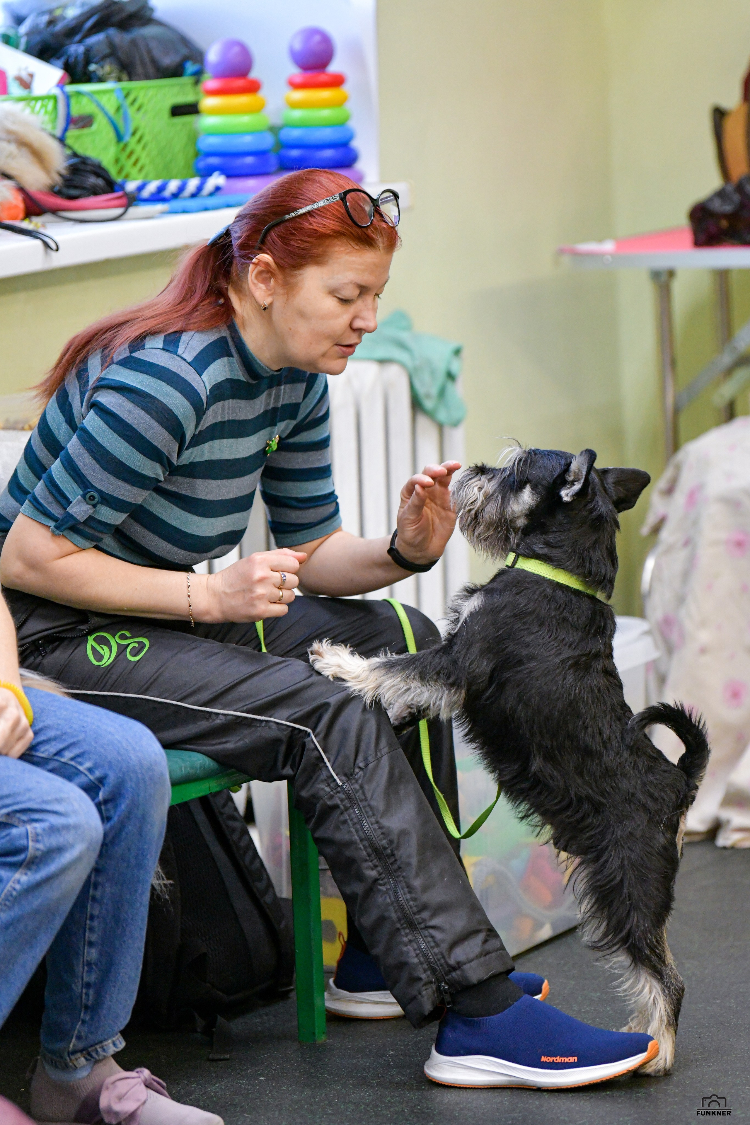 Кинологический клуб «Бодрый хвост». Свой взгляд через объектив
