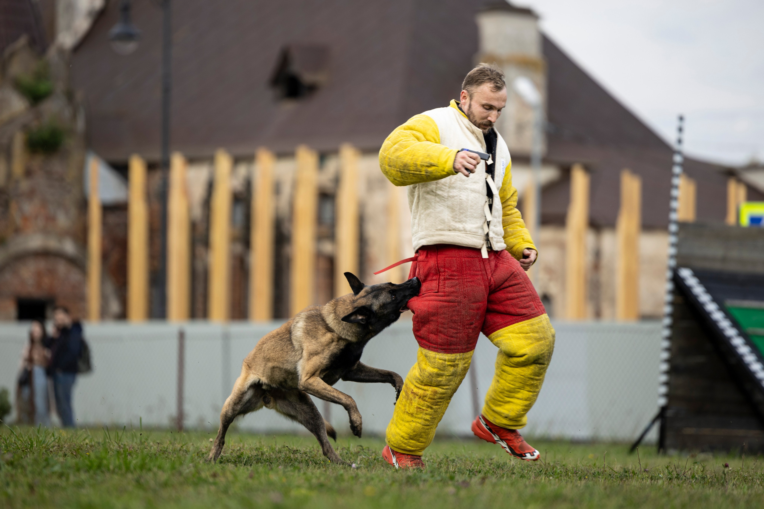 Испытания по Мондьорингу г. Пушкин. Фотограф-анималист Анна Маринич