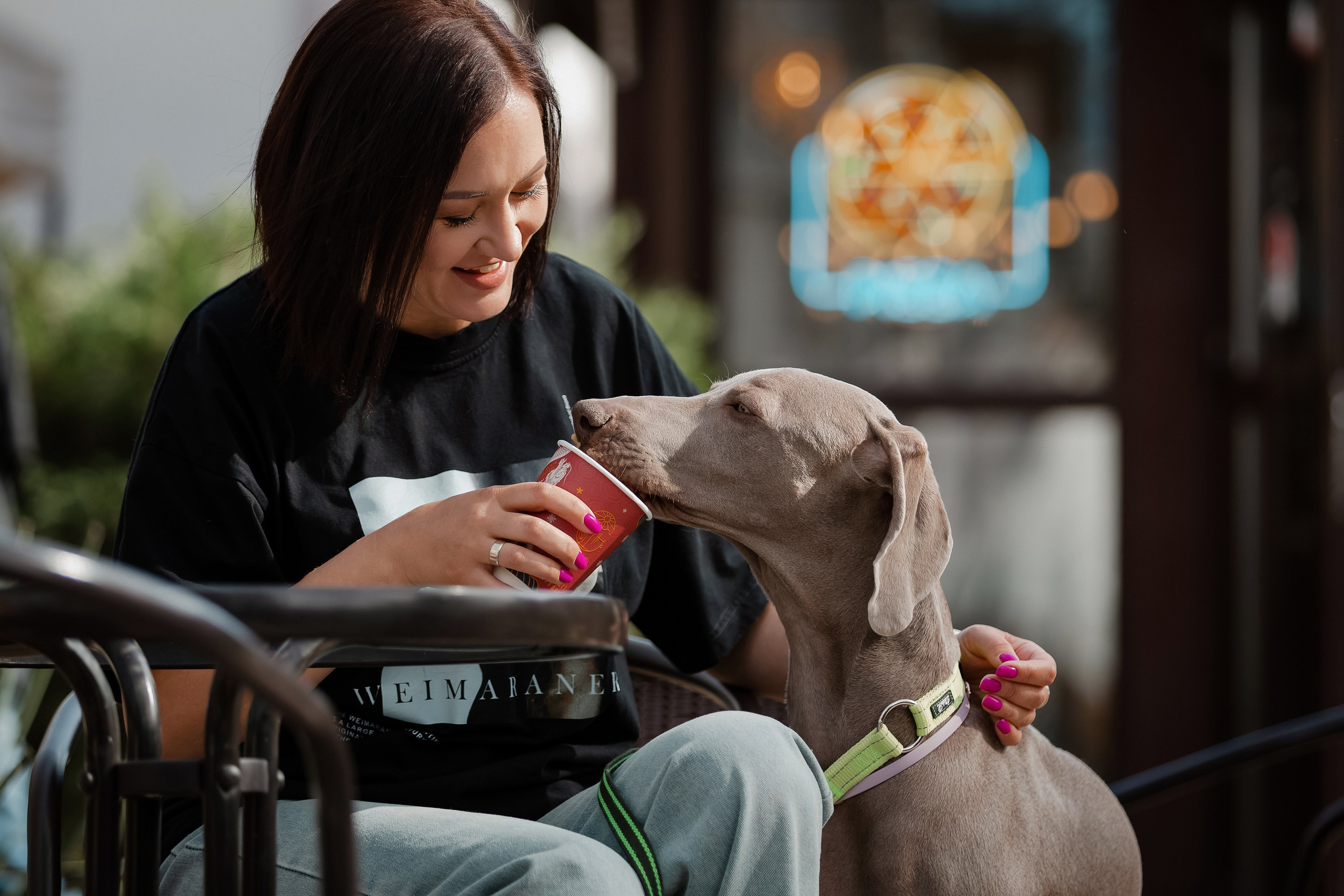 Веймаранер в парке Симферополя. Фотограф-анималист в Краснодаре Маша Мельникова