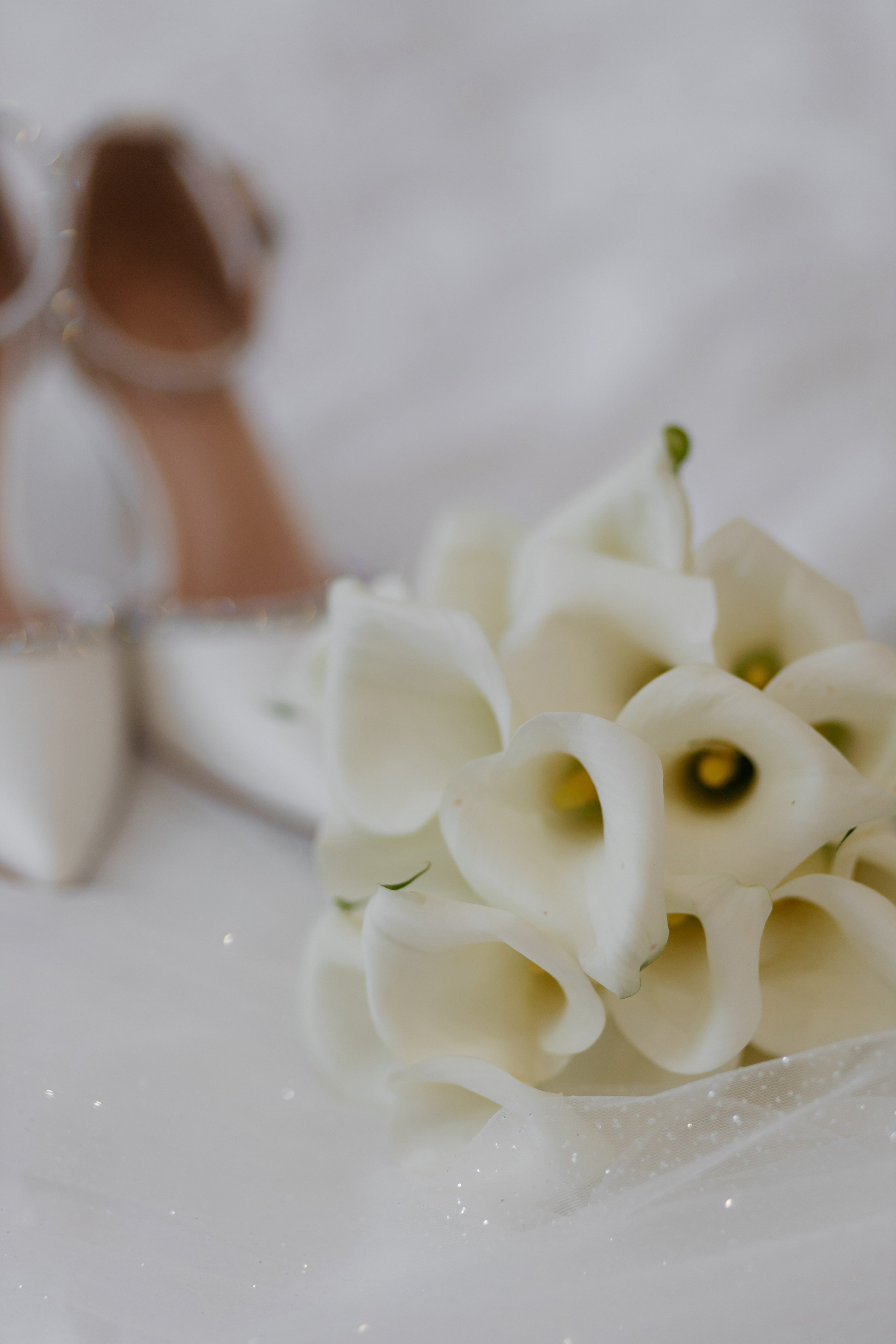 Валерия и Дмитрий. Свадебный фотограф в Пскове и Санкт-Петербурге | Анна Голикова