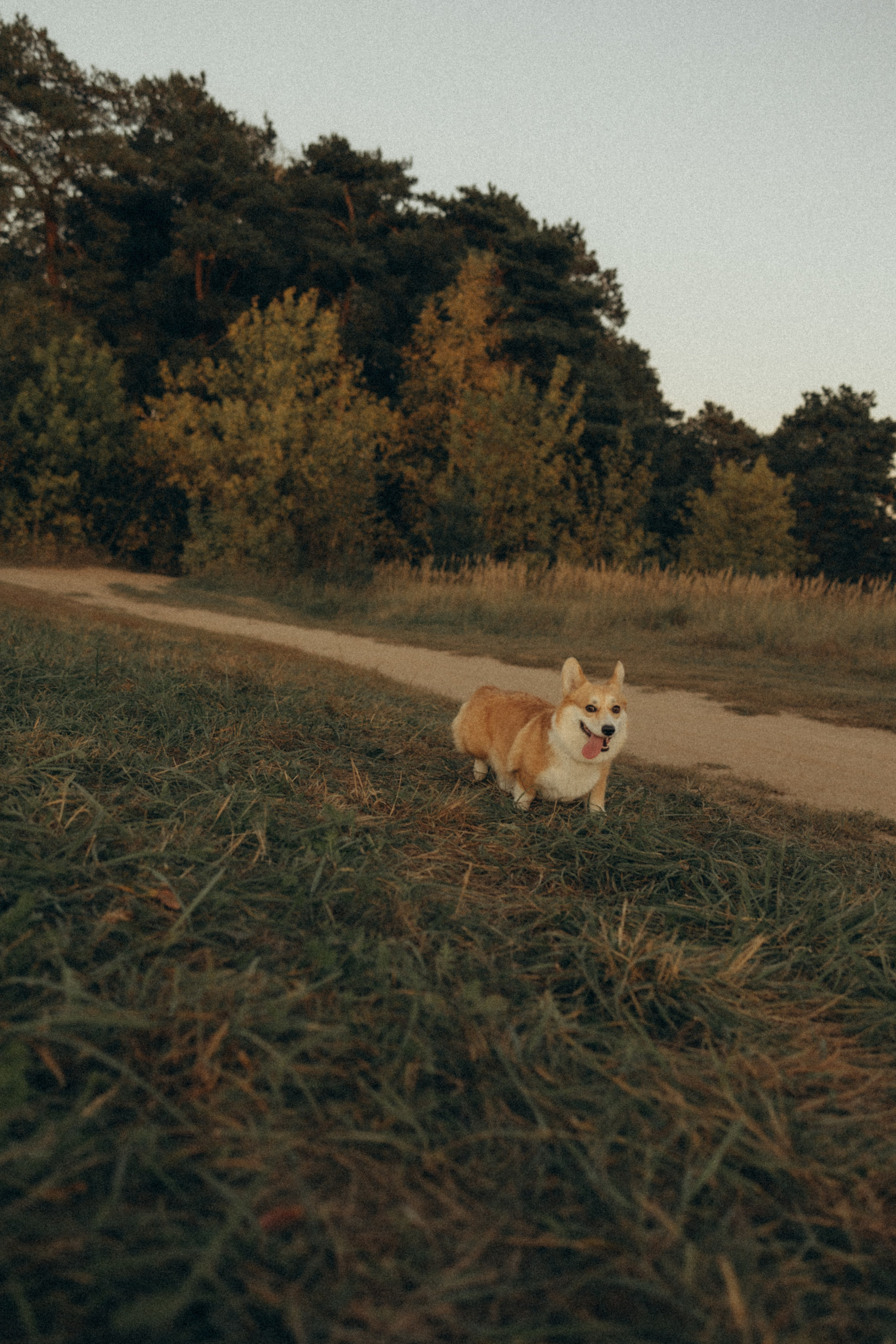 Светлана, Даниил, Оля и Юра. Семейный фотограф в Москве Бунина Маргарита