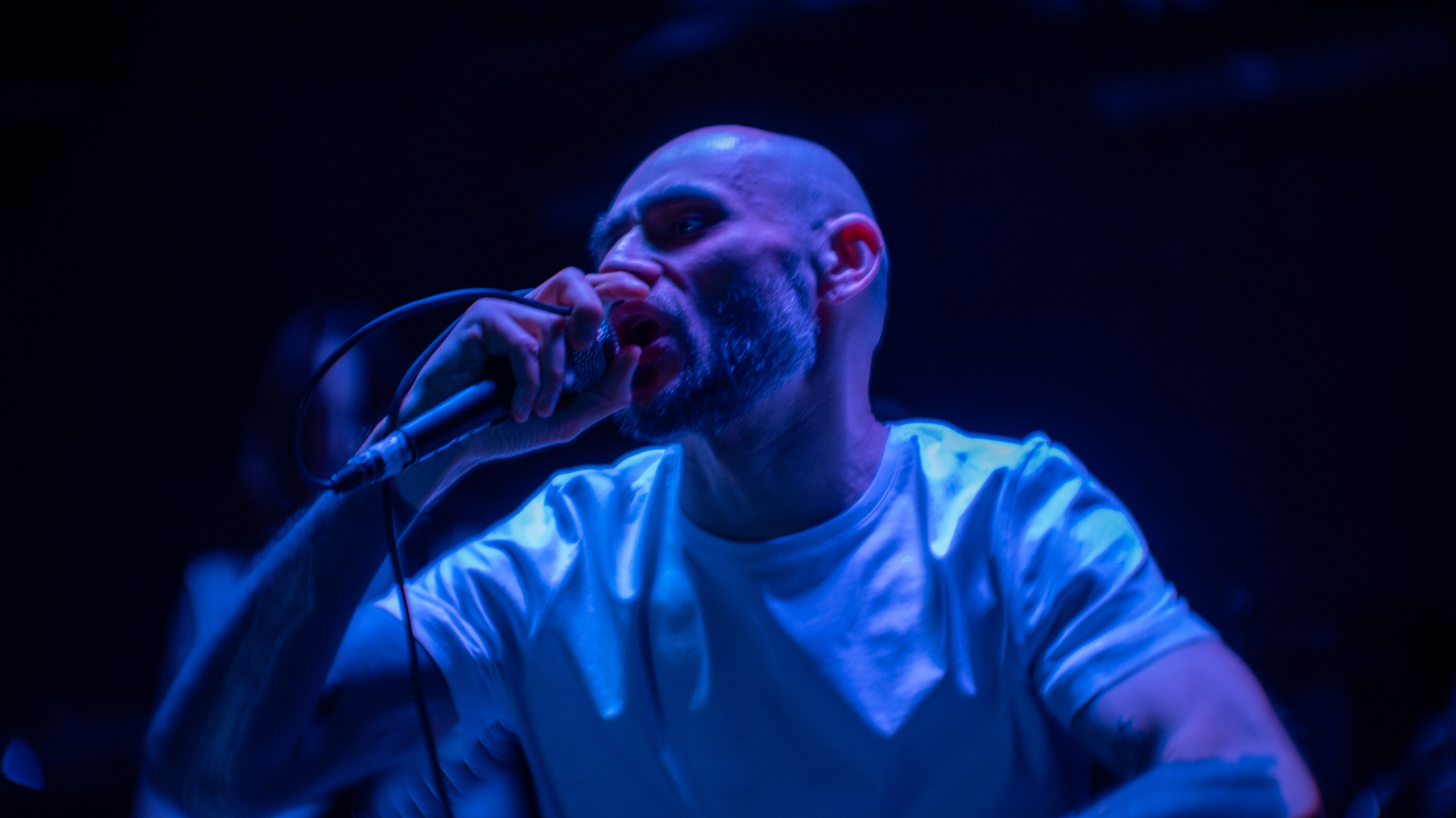 Тща / Отшельник / THE PIT / GNOM в Мотыге 17.05.25. Szczur photo