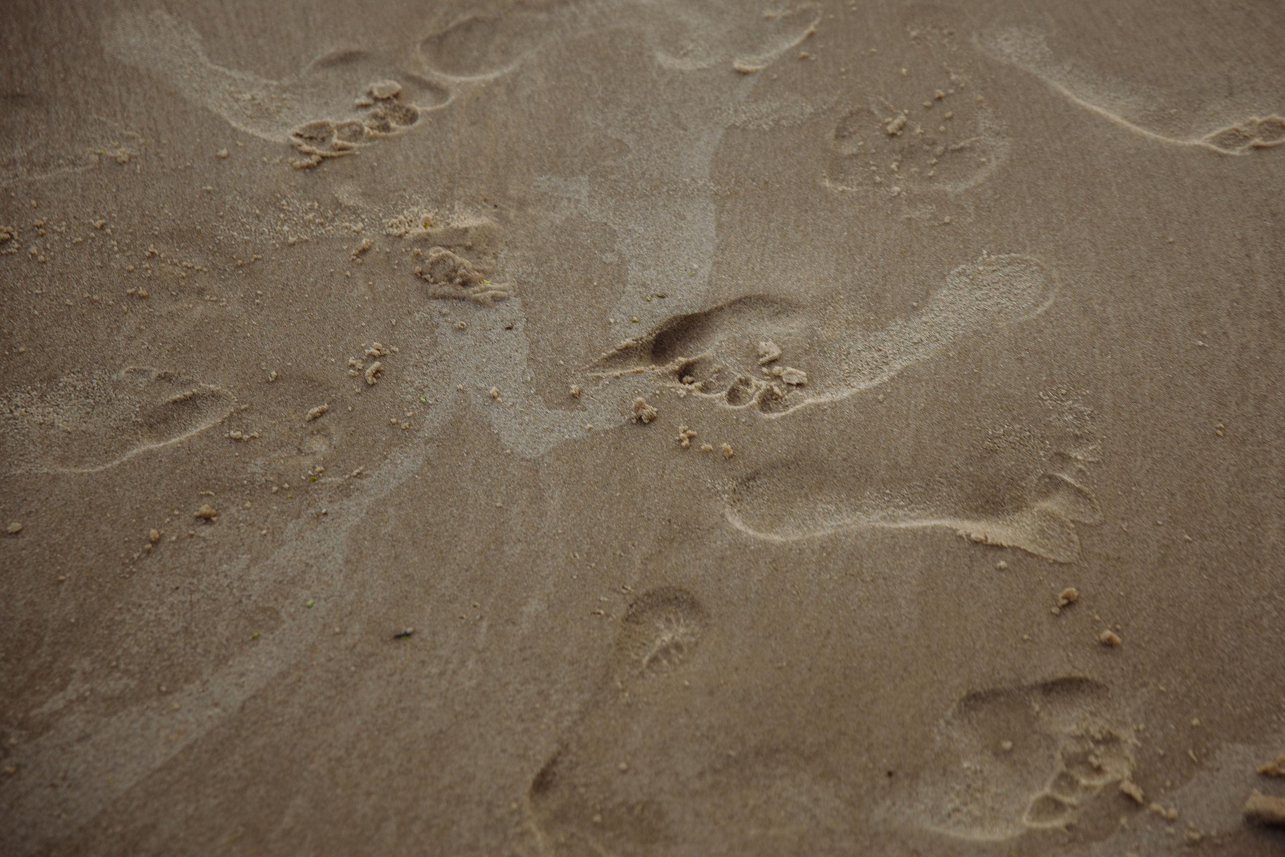 Без торжеств и торта. Свадебный и портретный фотограф в Нижнем Новгороде и Нижегородской обл
