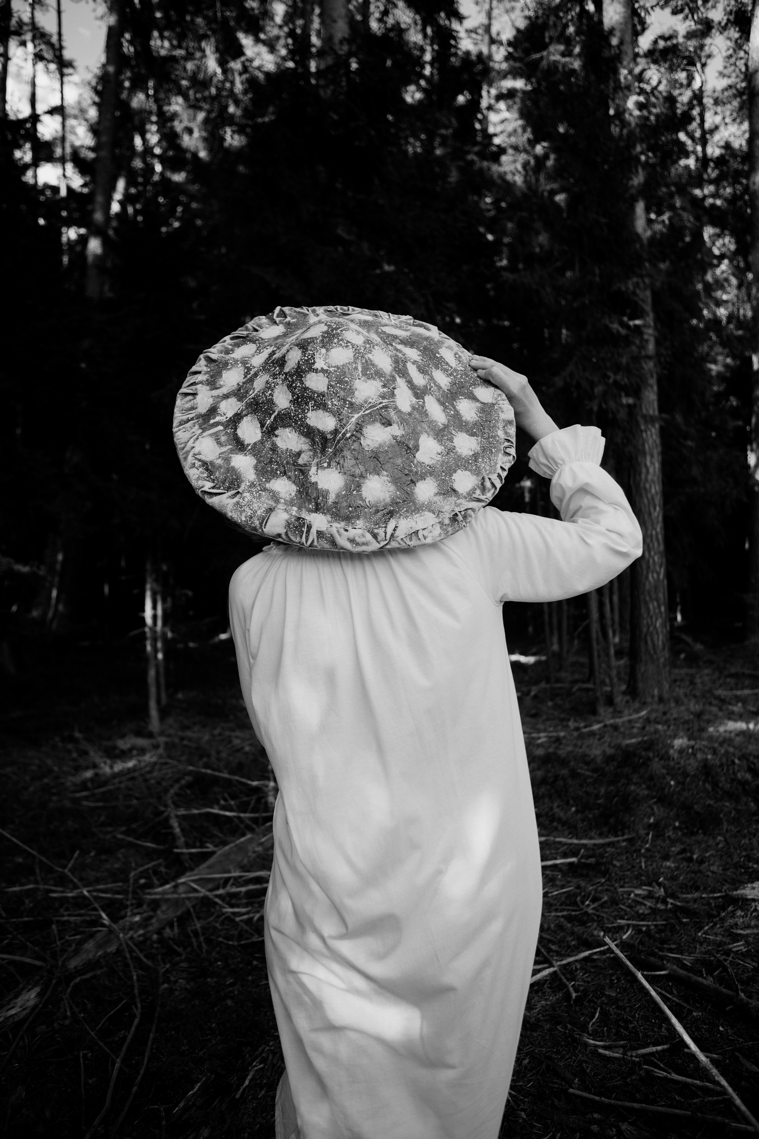 Грибы. Ольга Пилант. АРТ, бэкстейдж, свадебная и семейная фотография, городской портрет, интерьерная фотография