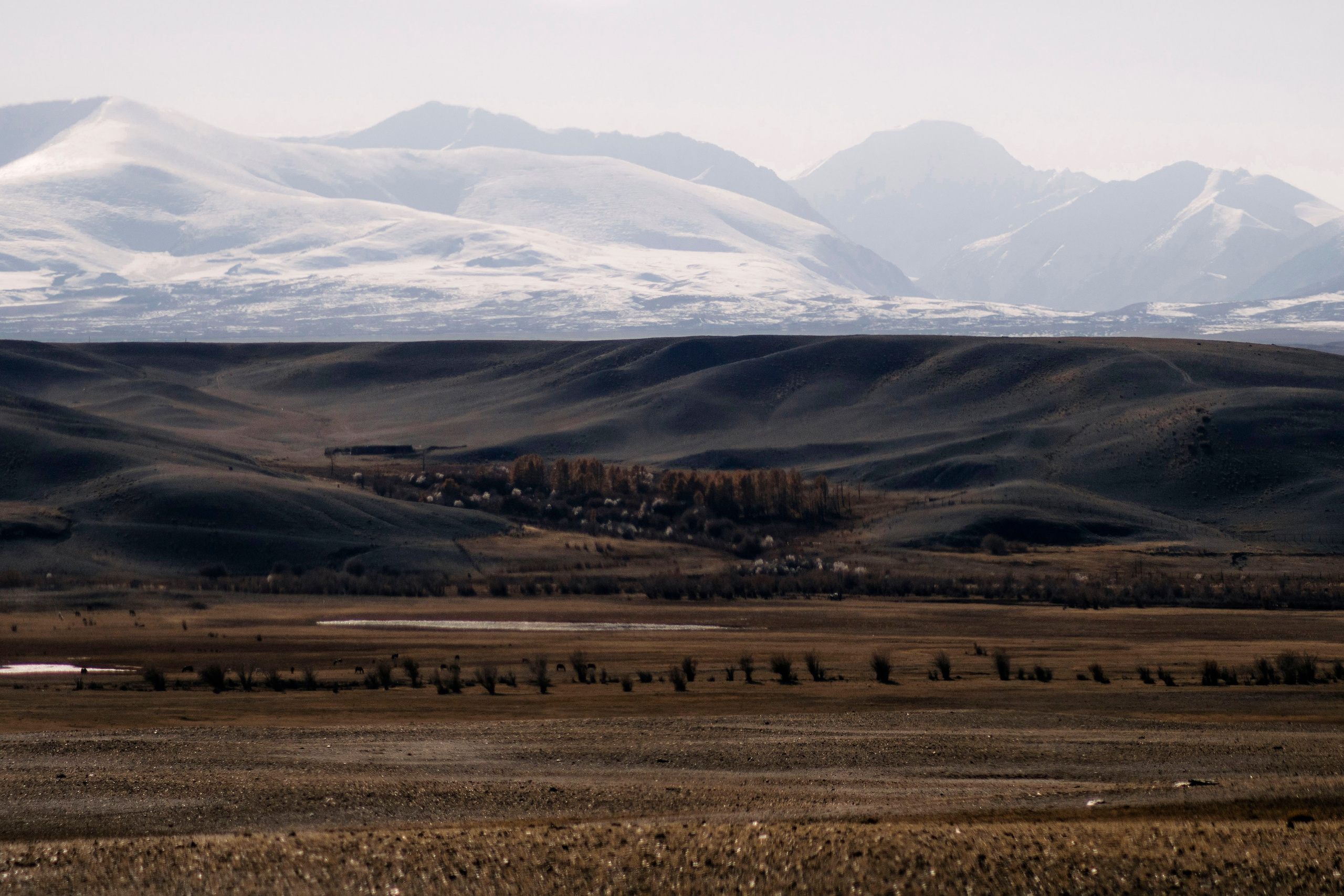 Altai landscape. Iraogo