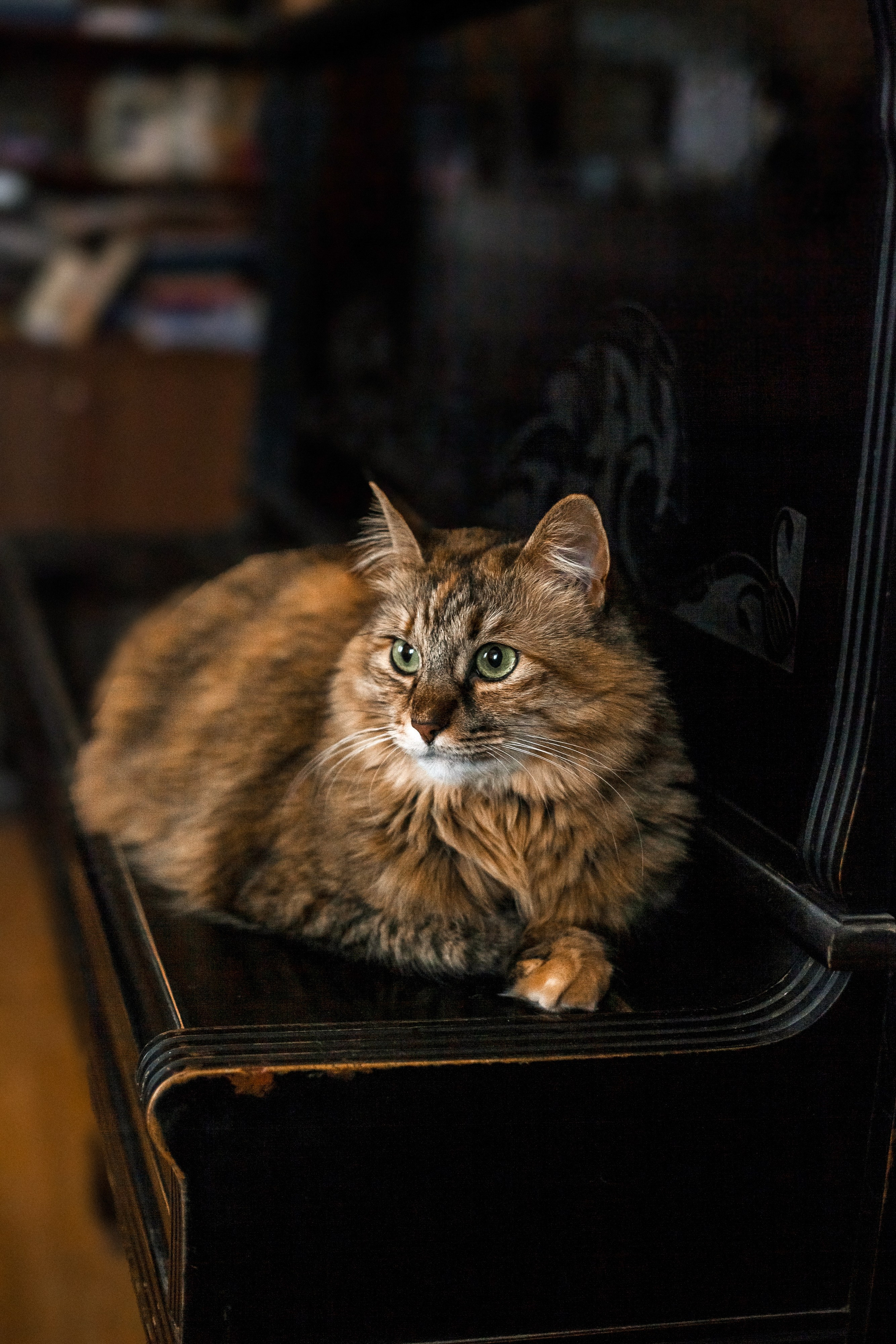 Евгений и Марина. Портретный, семейный, свадебный фотограф в Брянске Маргарита Василькова