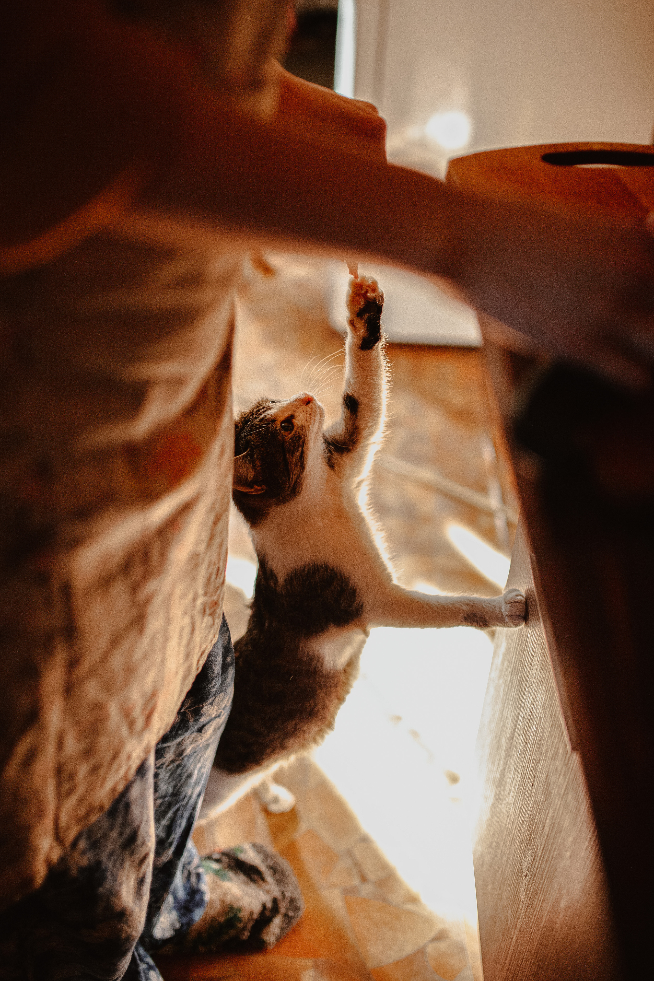 Дмитрий, Александра и Кира. Главная