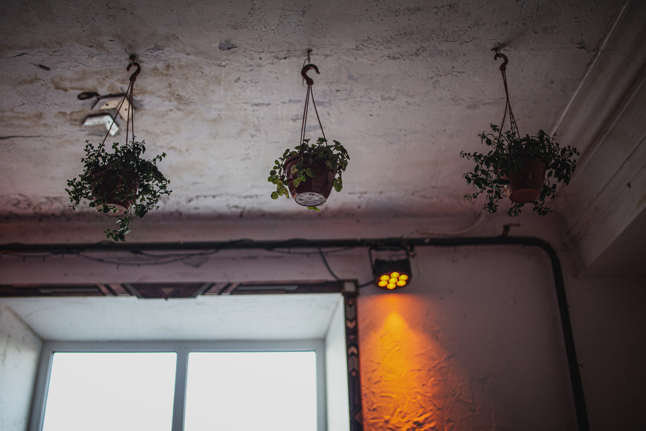 День рождения в формате вечеринки. Главная