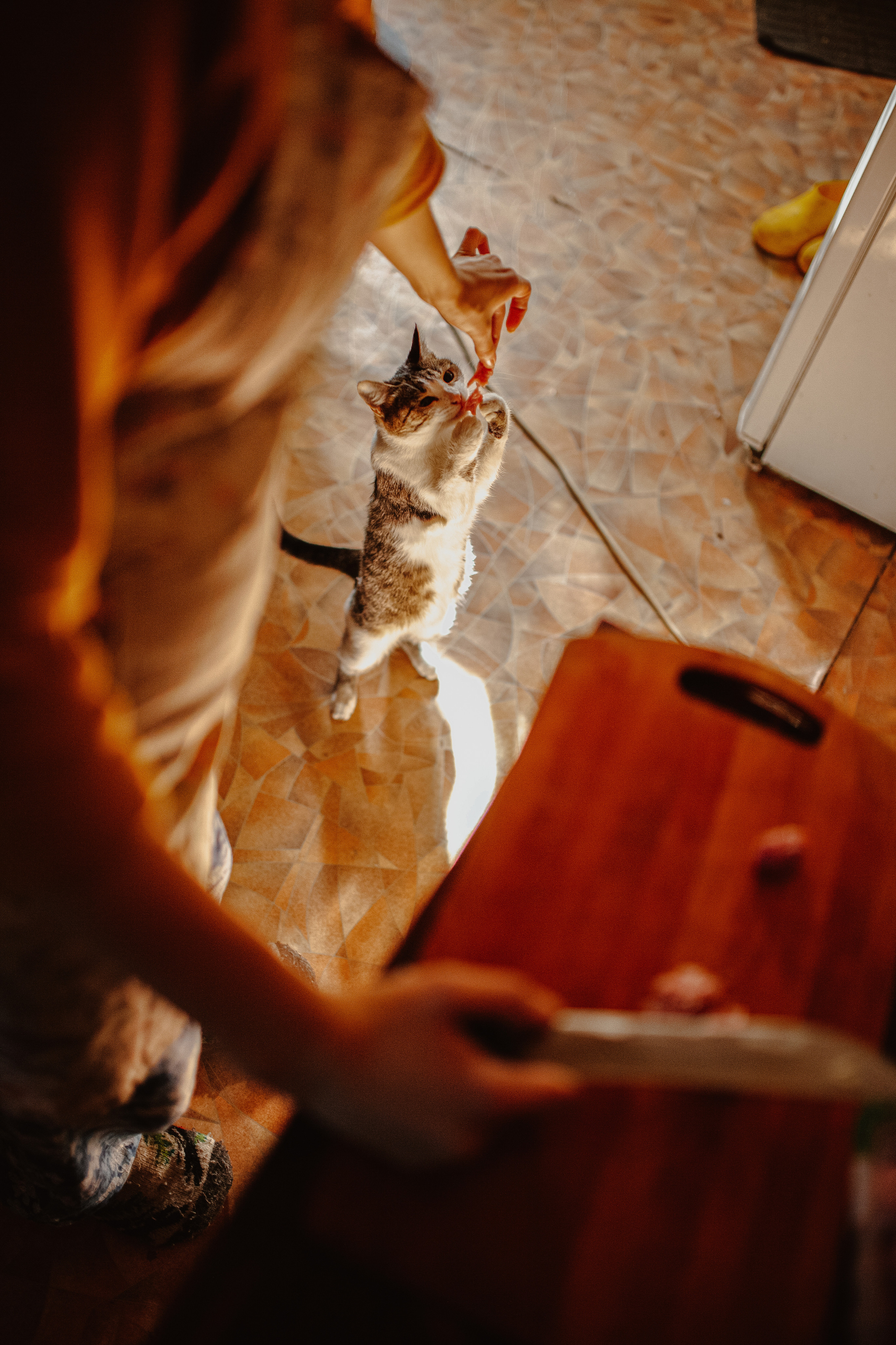 Дмитрий, Александра и Кира. Главная