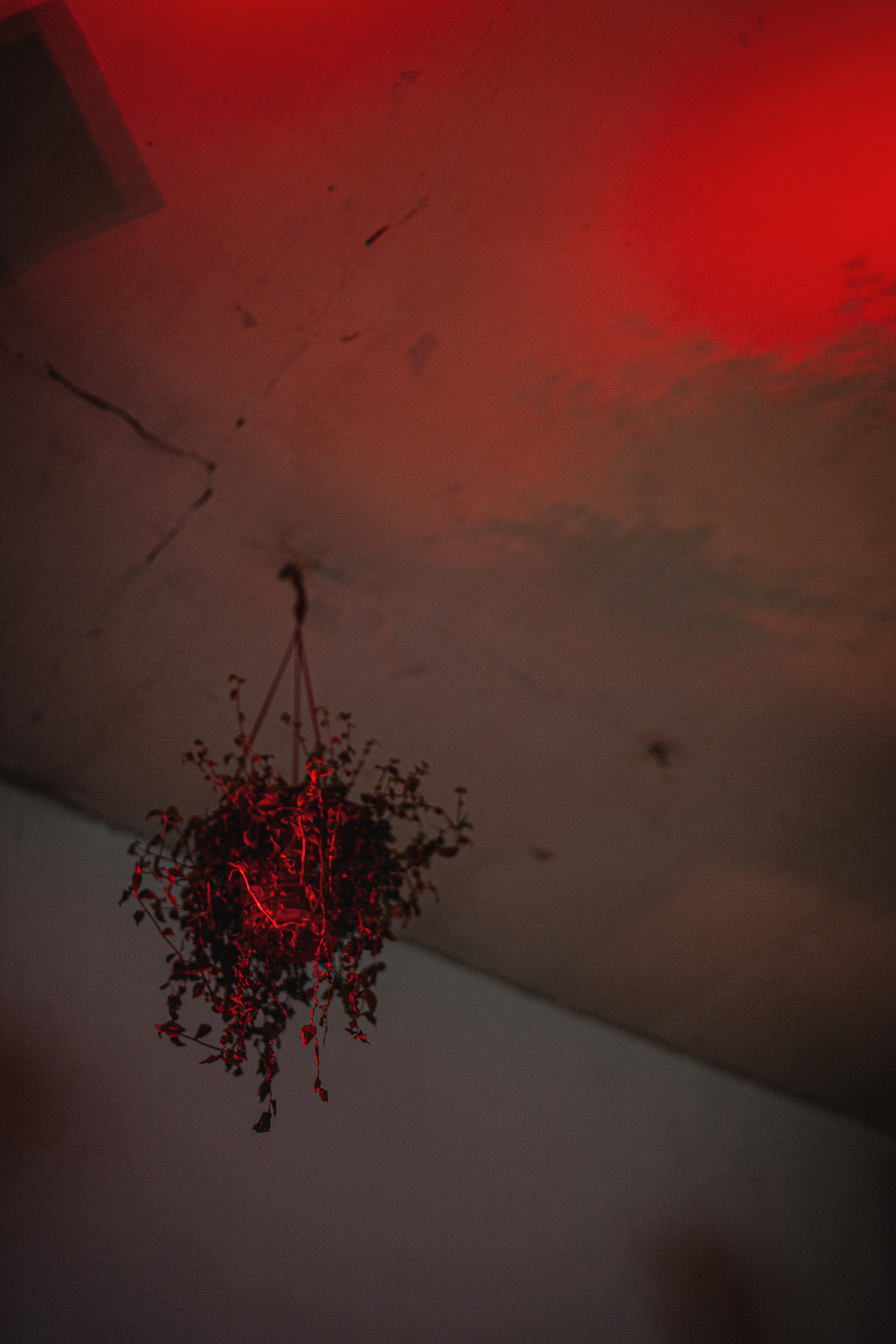 День рождения в формате вечеринки. Главная