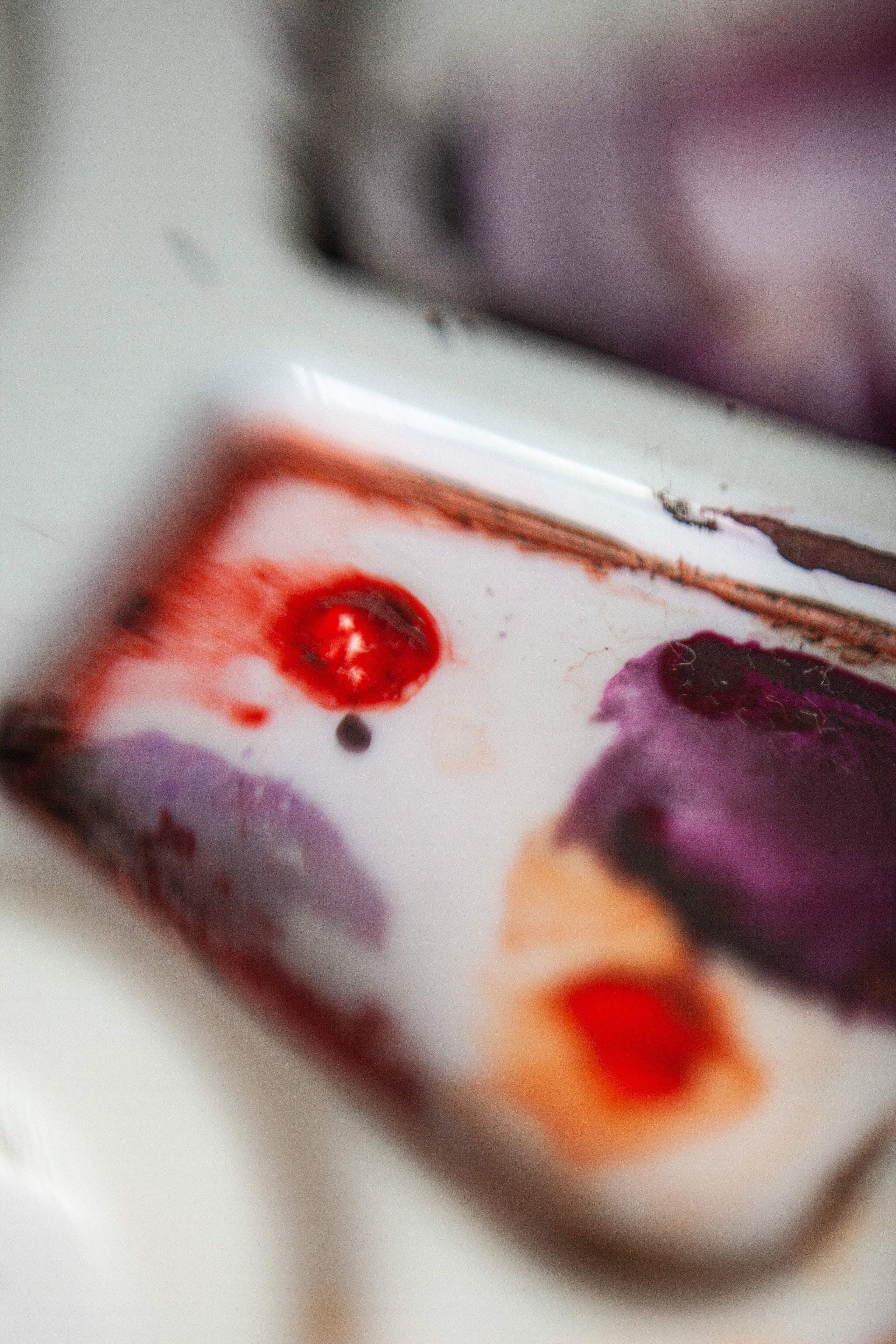 Съемка для художницы Киры Шилиной. Главная