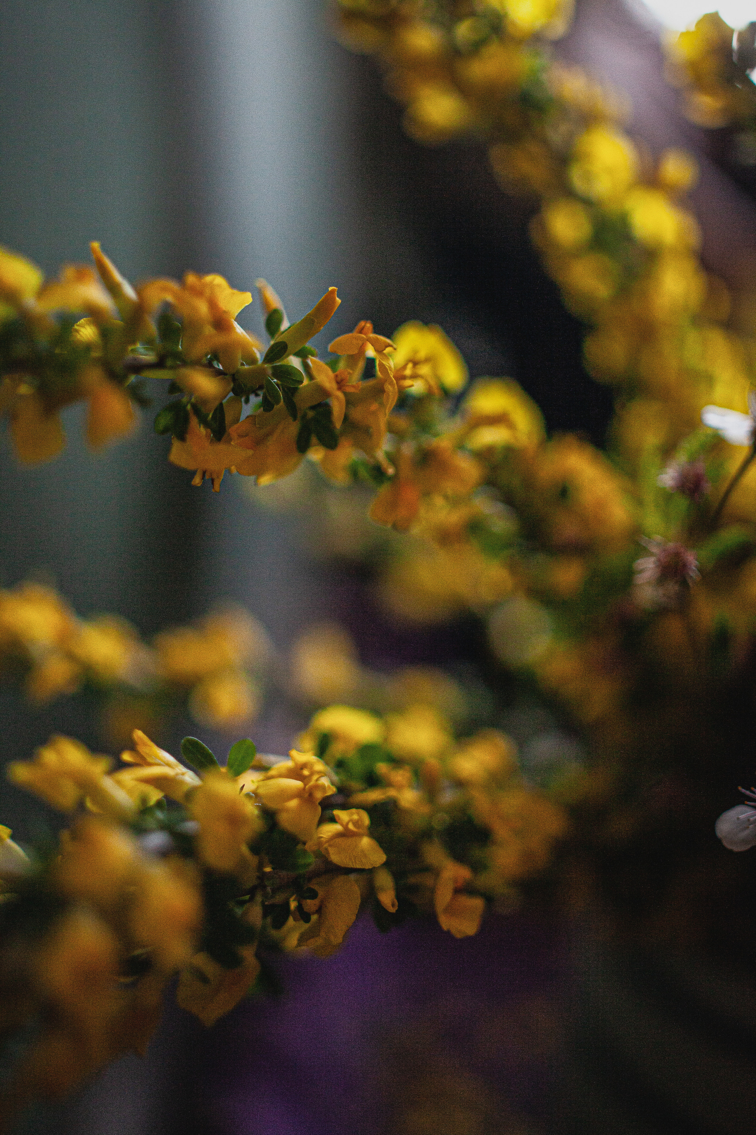 День рождения в формате вечеринки. Главная