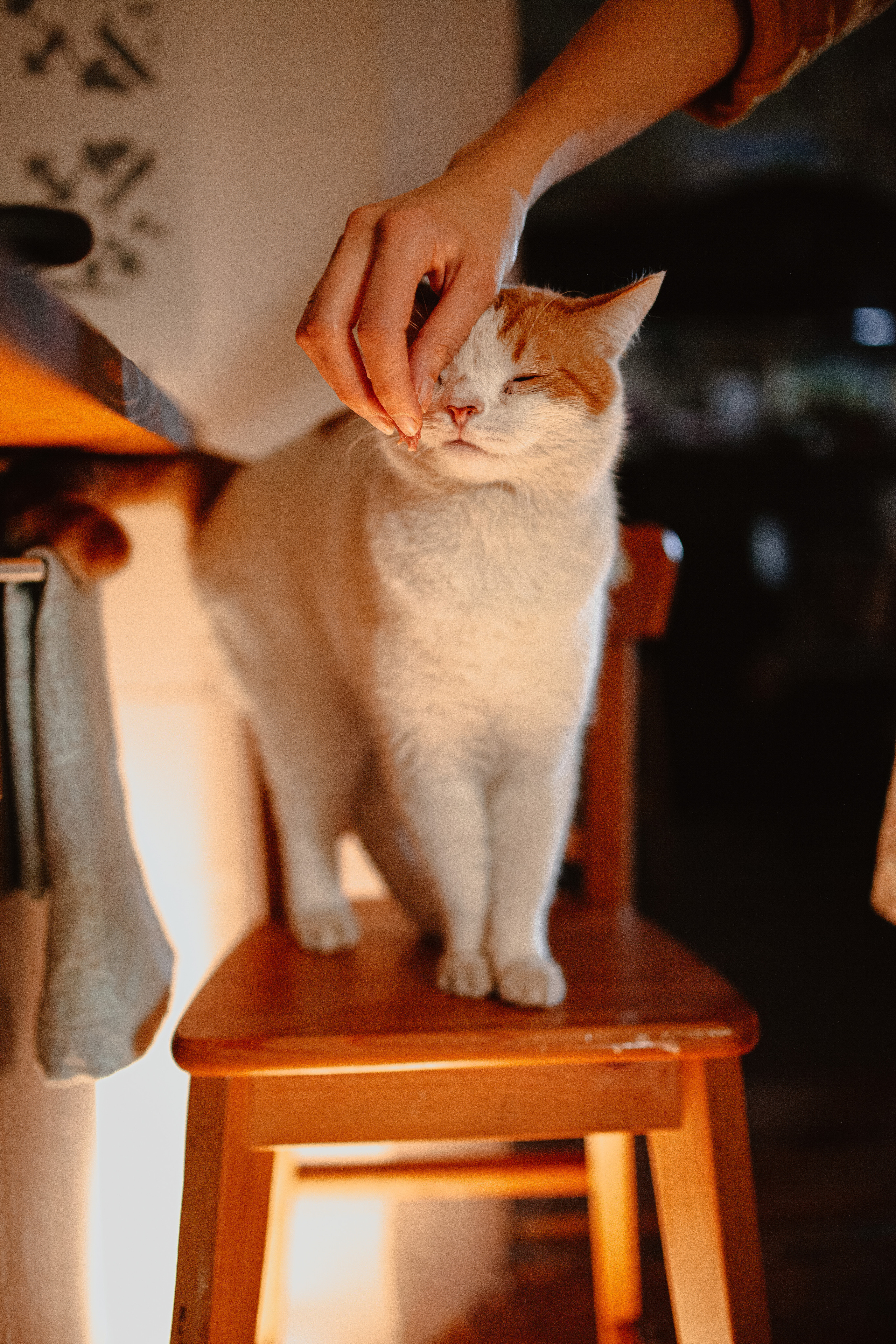 Дмитрий, Александра и Кира. Главная