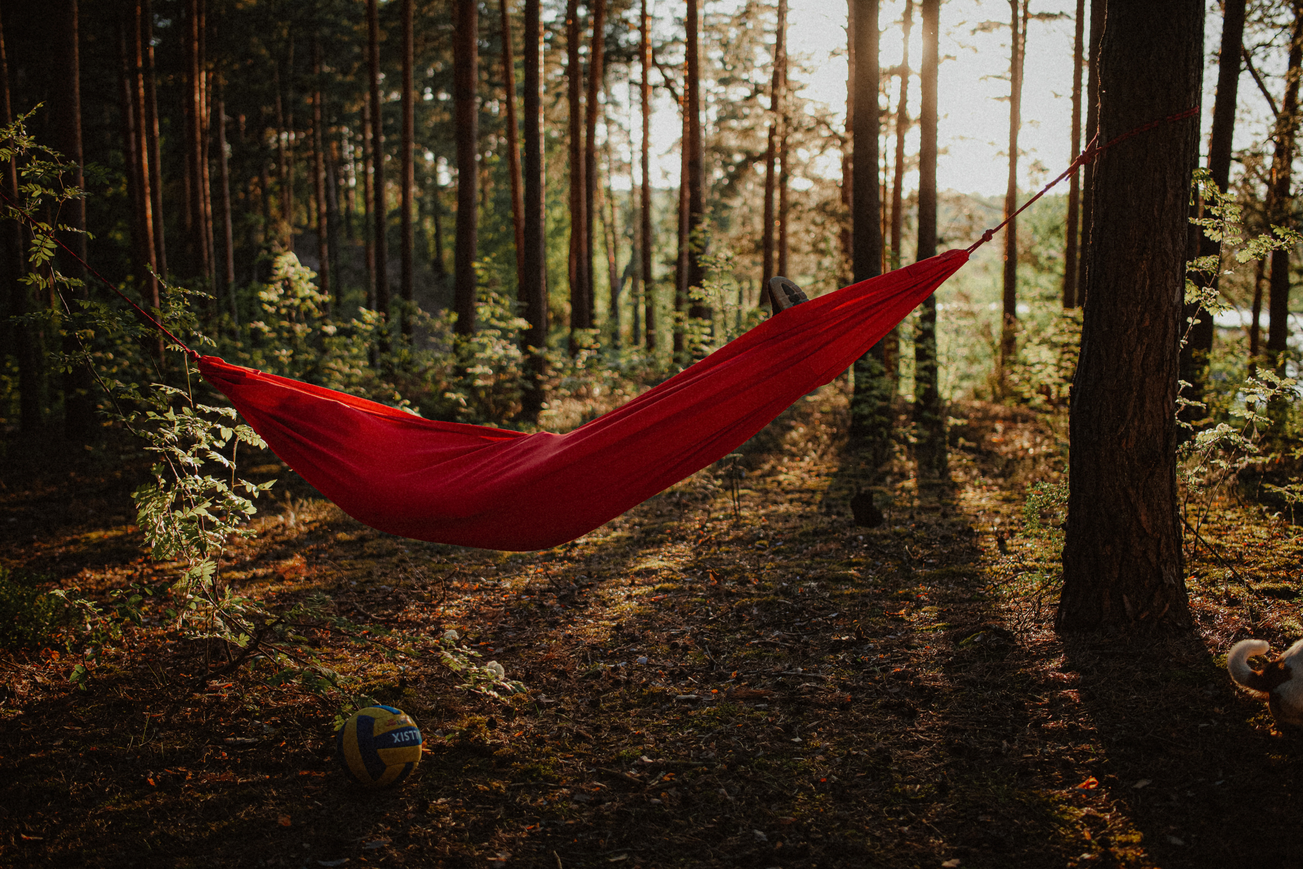 Съемка для бренда гамаков Good Walk. Главная