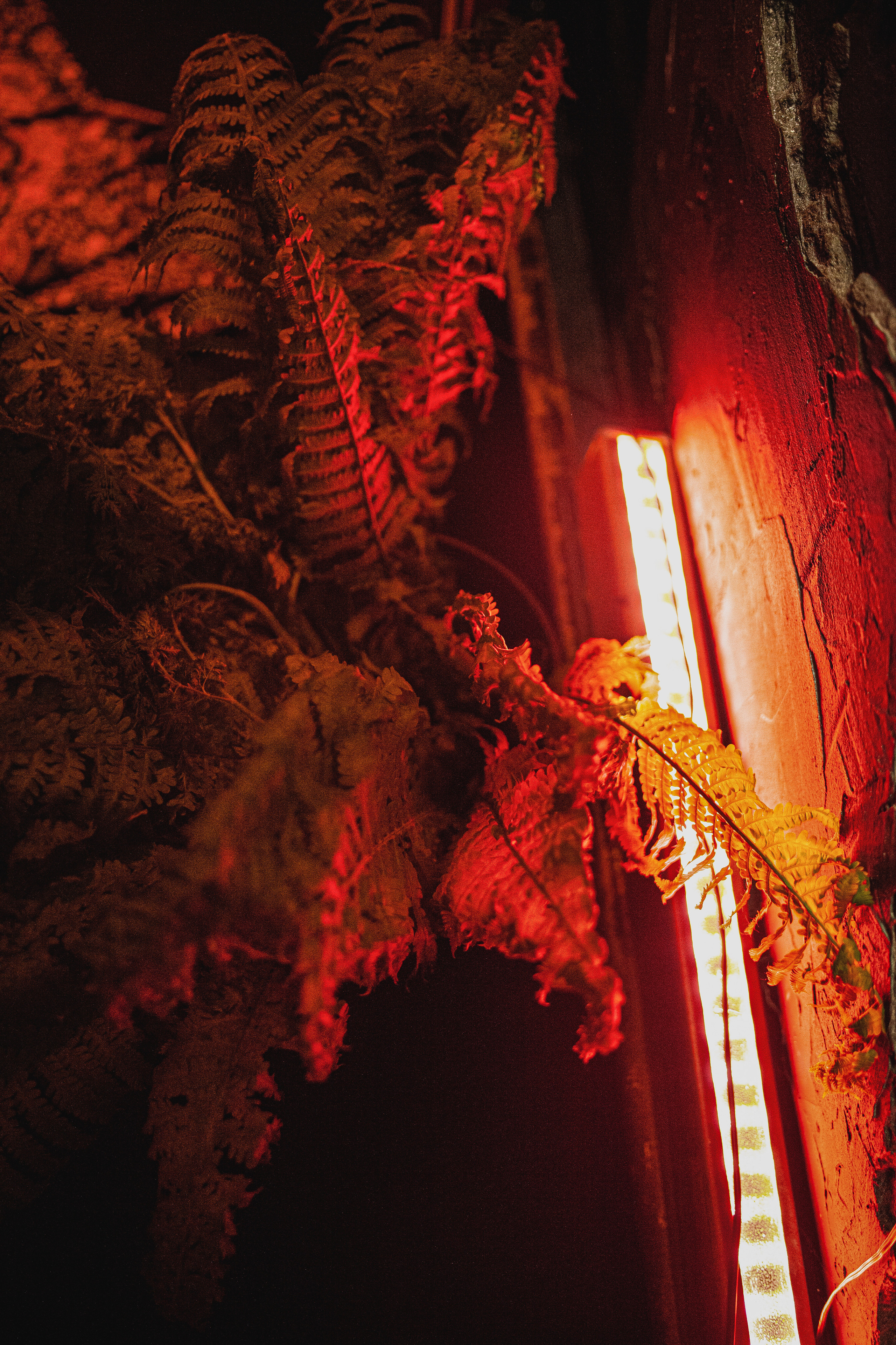 День рождения в формате вечеринки. Главная