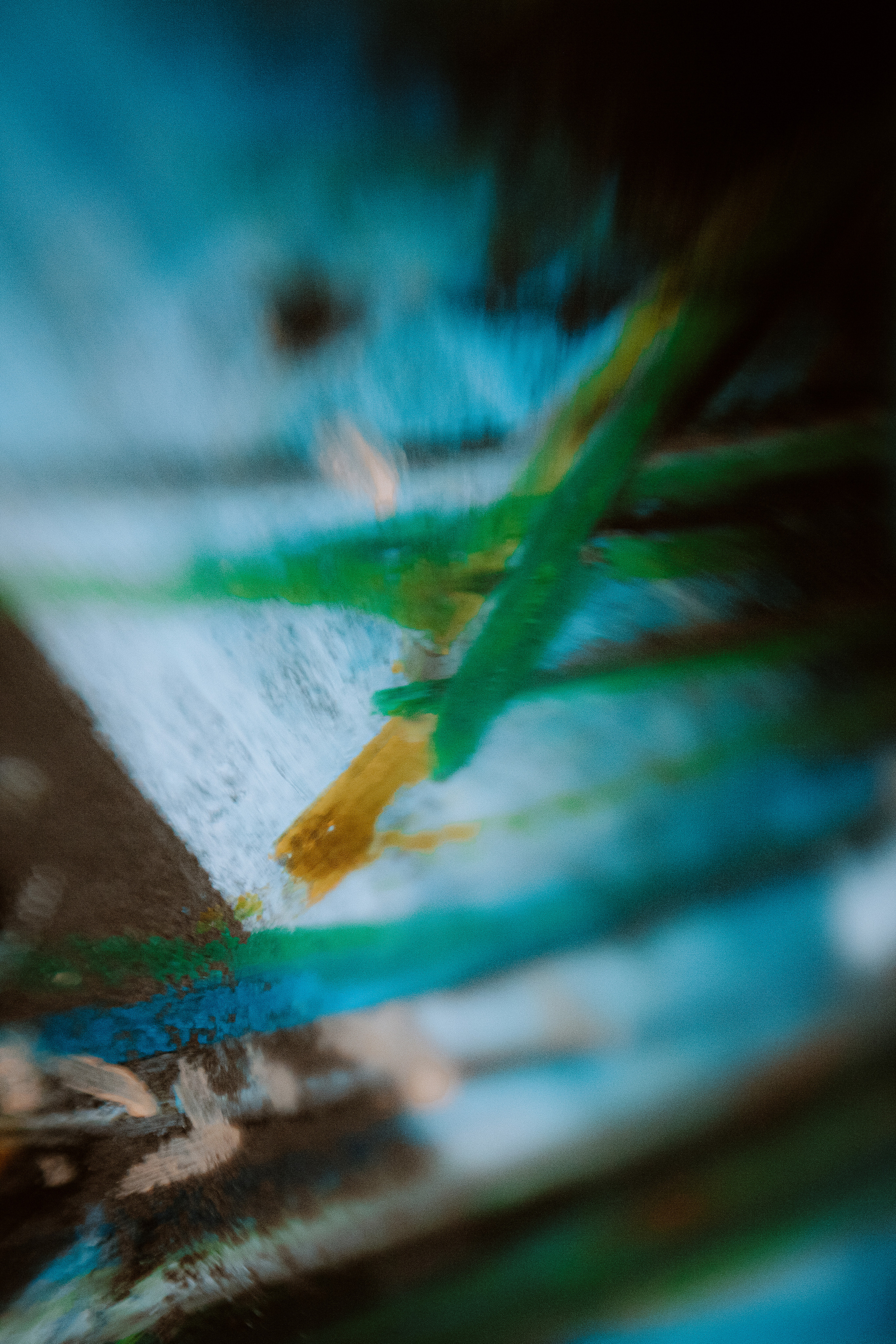 Съемка для художницы Юлии Рябовой. Главная