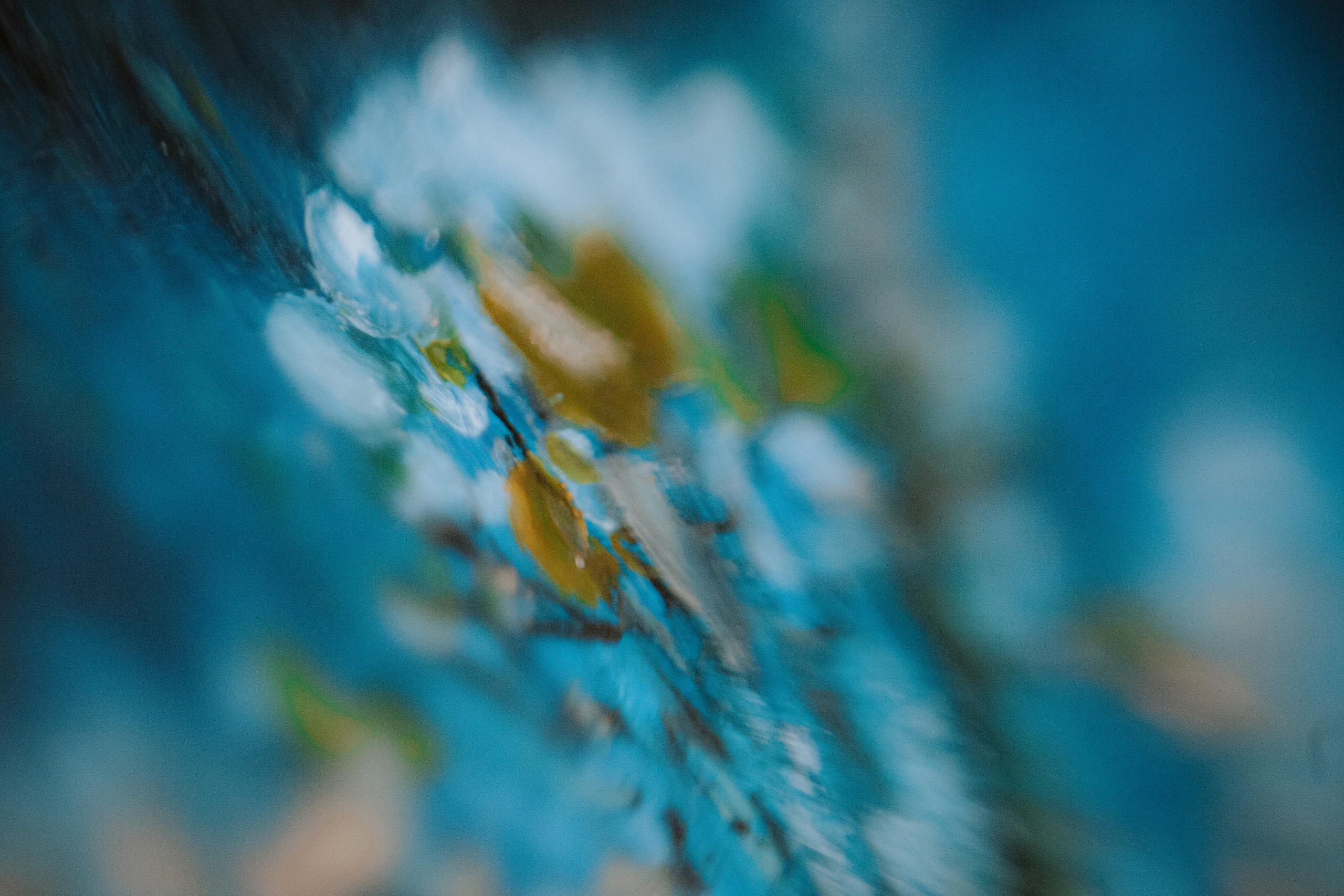 Съемка для художницы Юлии Рябовой. Главная