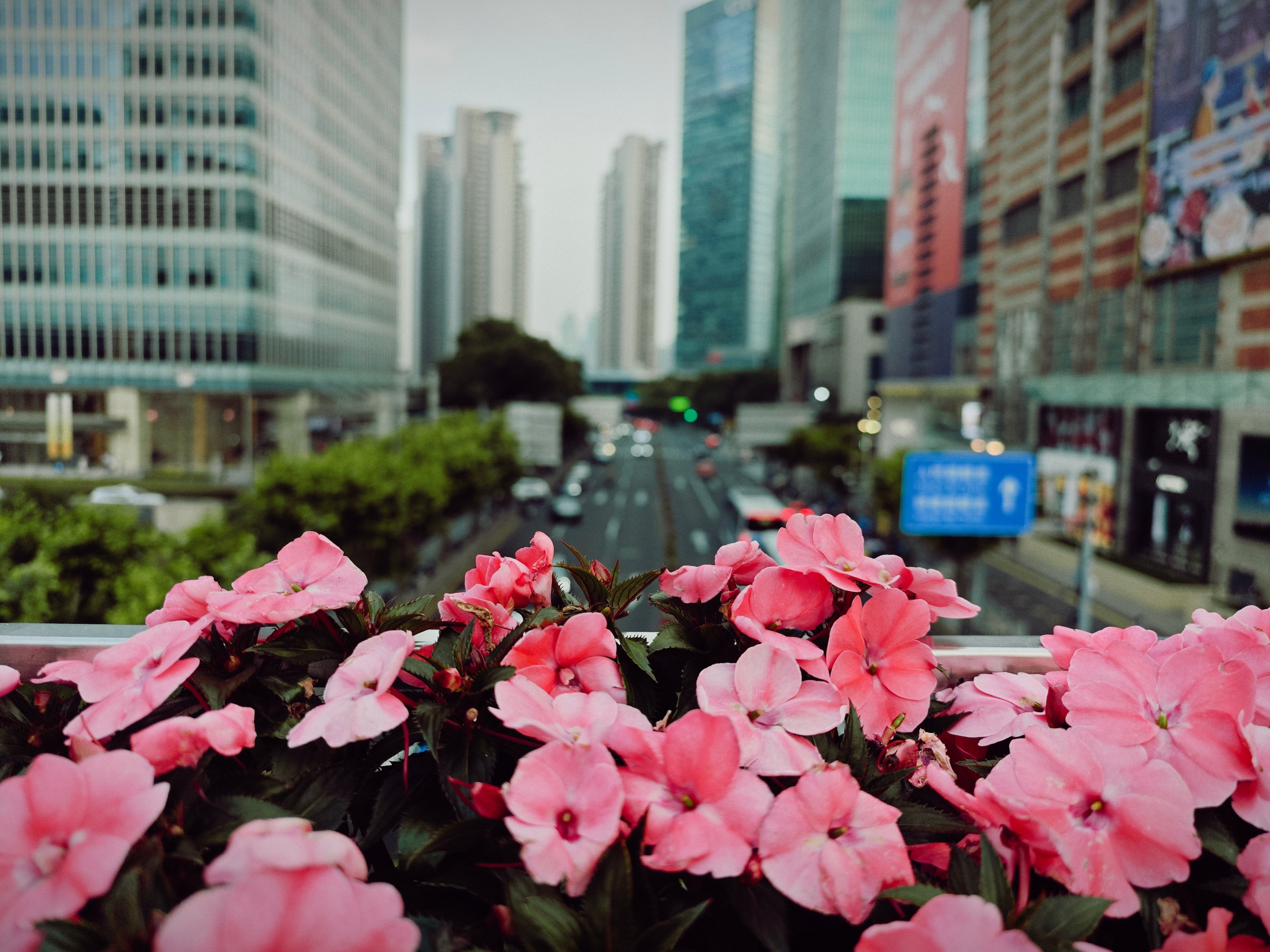 The Great Journey to China. Brjankin.com