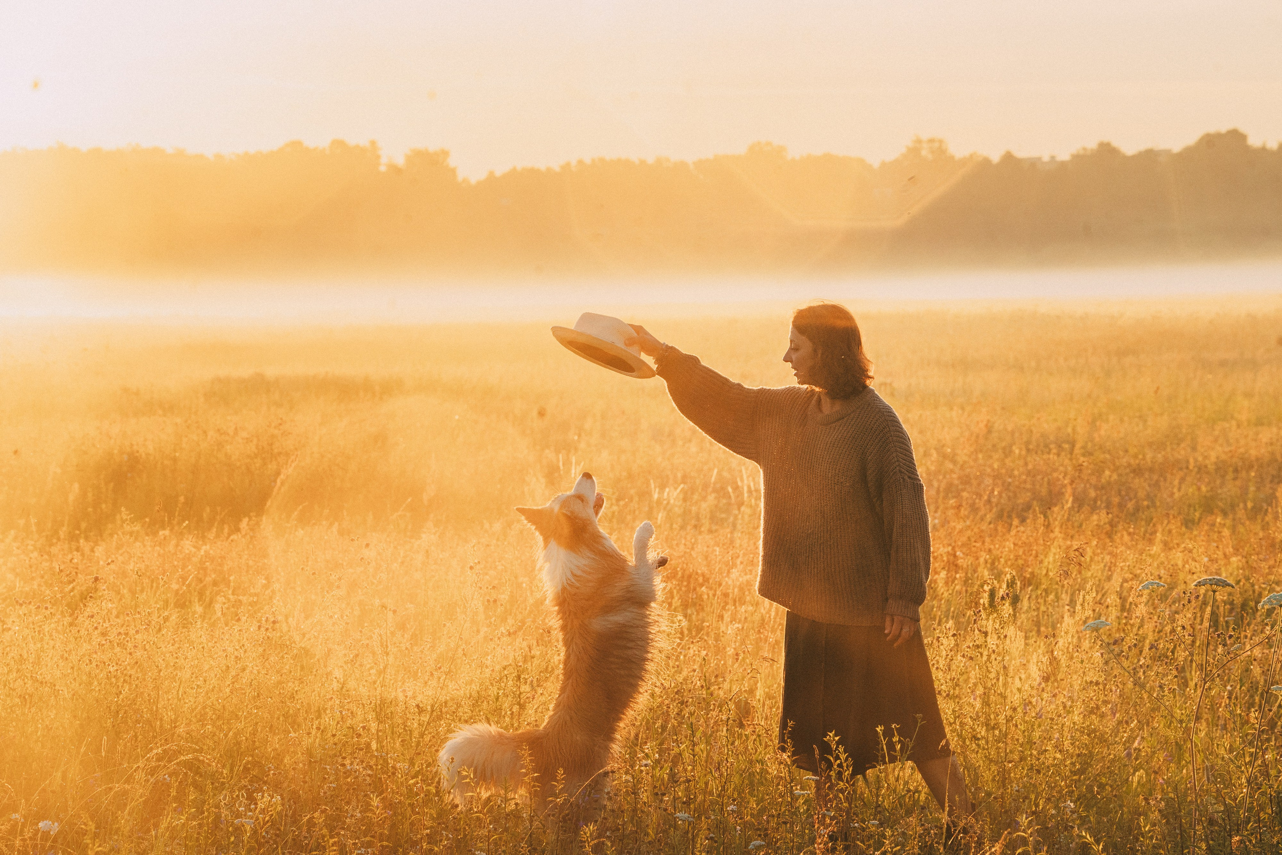 Рина и Марси. Фотограф анималист в Москве и Санкт-Петербурге Свиридова Анна