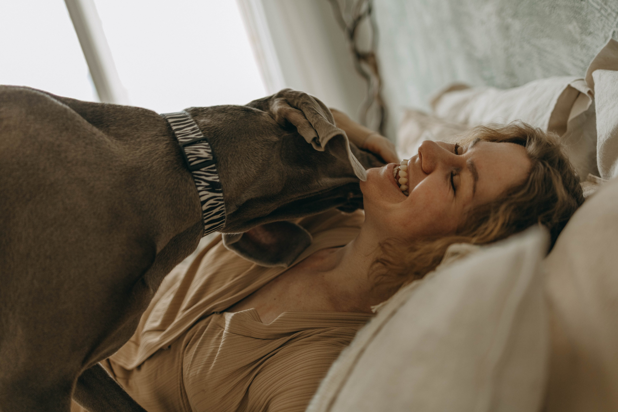 Фотосессия в студии с собакой. Фотограф-анималист в Екатеринбурге | Кристина