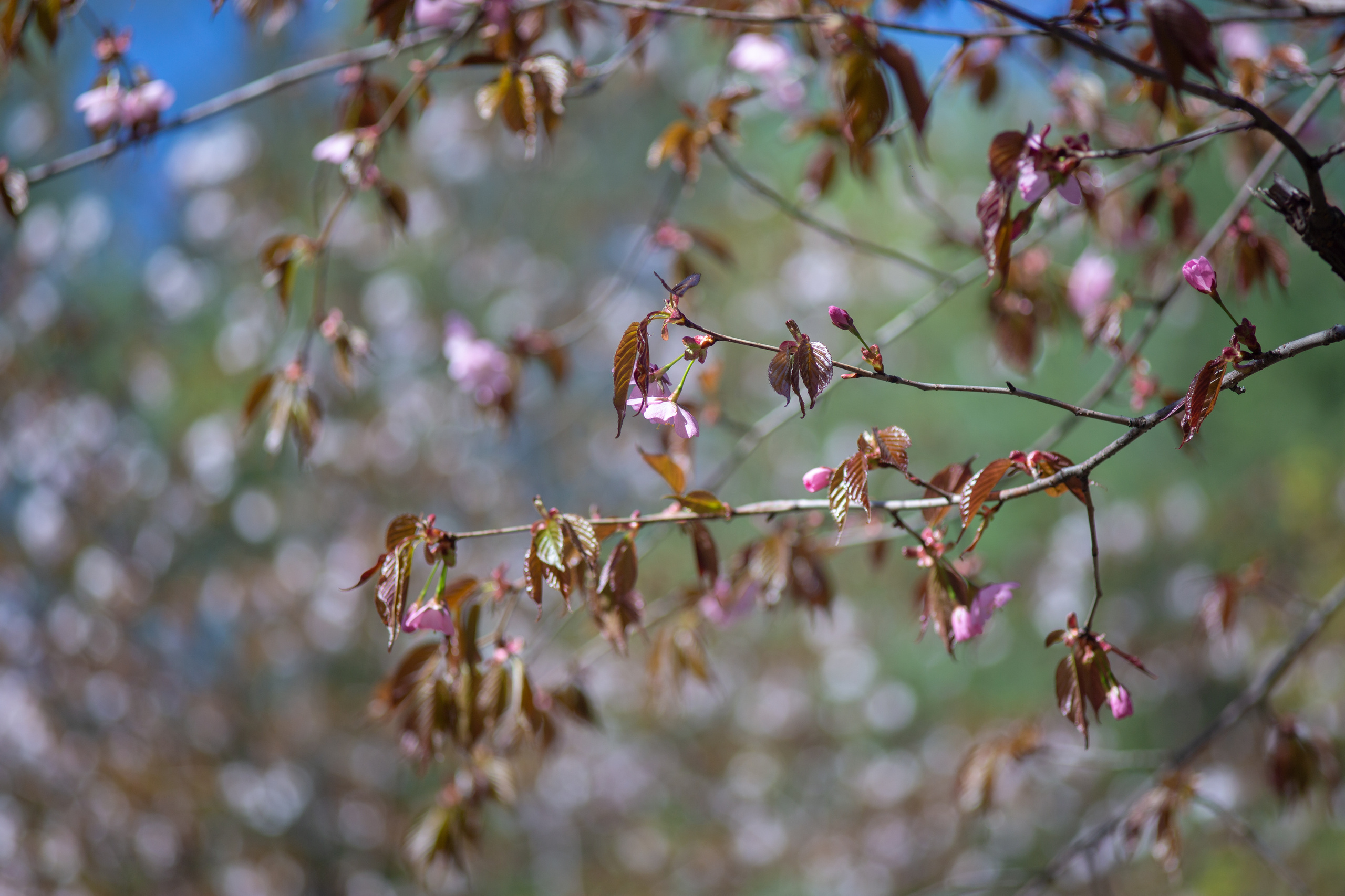 Коллекция пейзажных фотографий. Photographer Sonkina Tatiana (Tanya Ash)