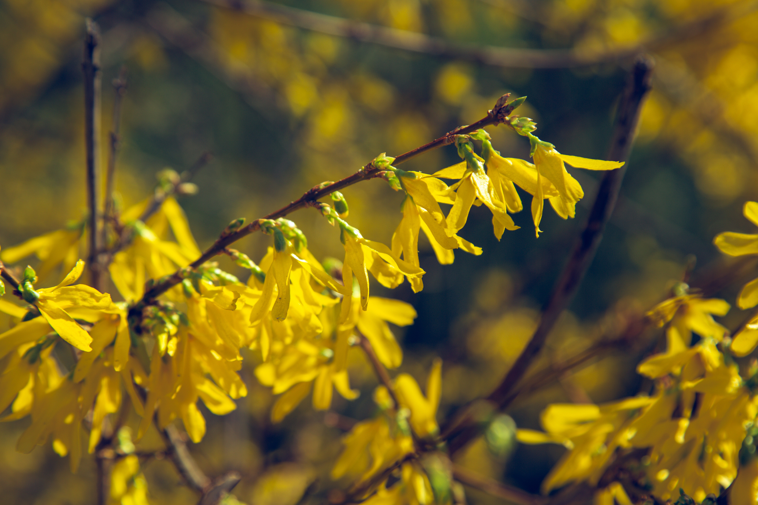 Коллекция пейзажных фотографий. Photographer Sonkina Tatiana (Tanya Ash)